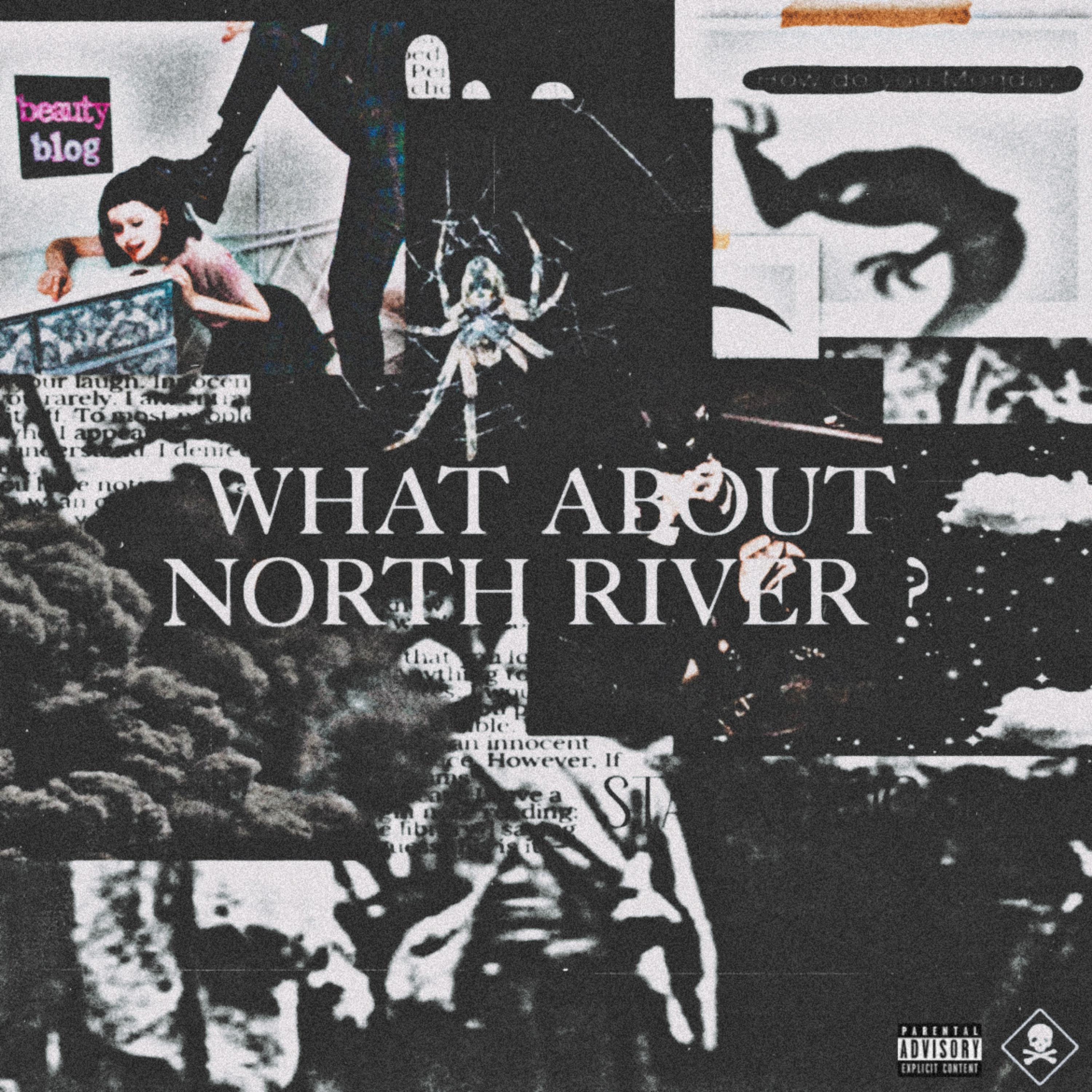 What About North River ? by CalMal cover art