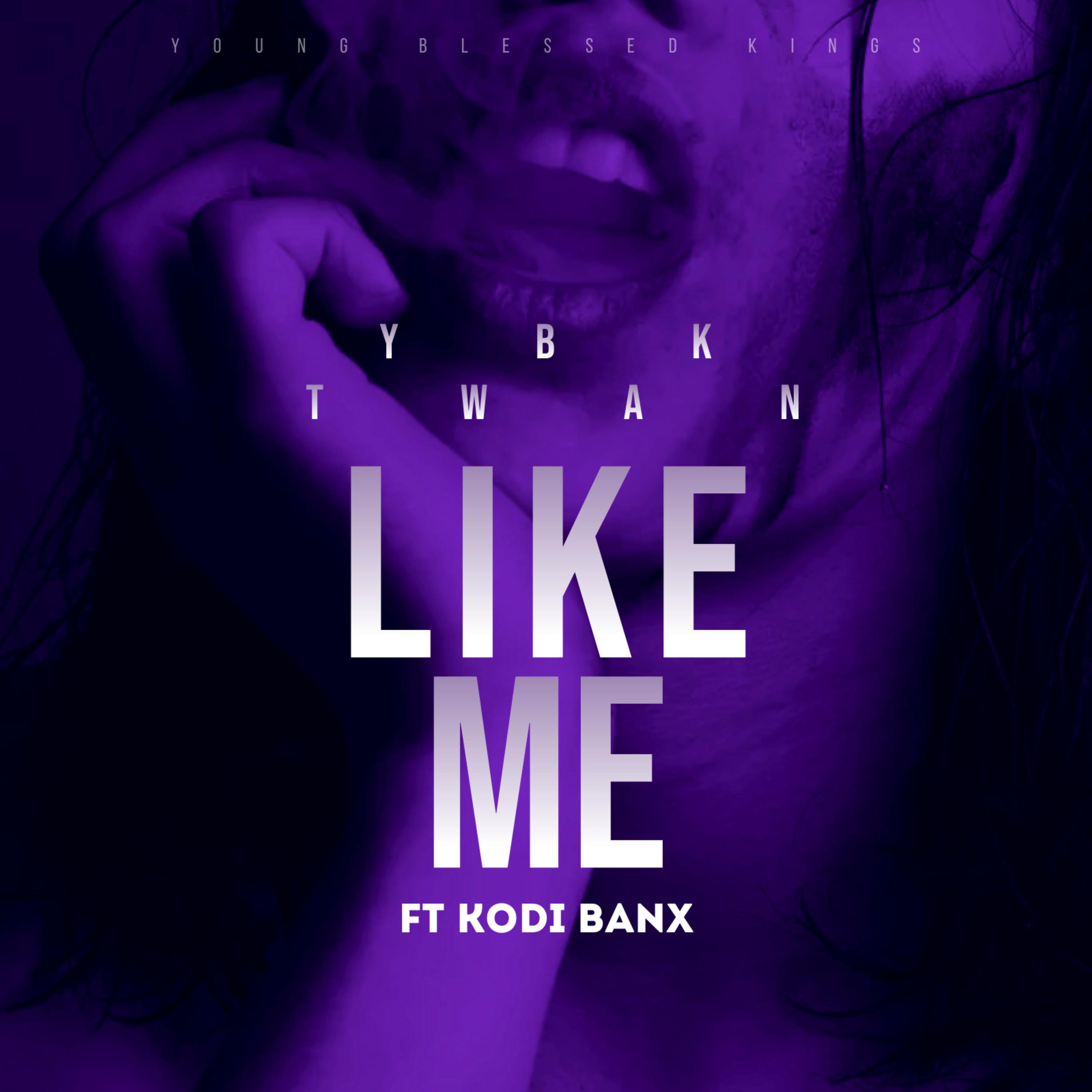 Like Me artwork