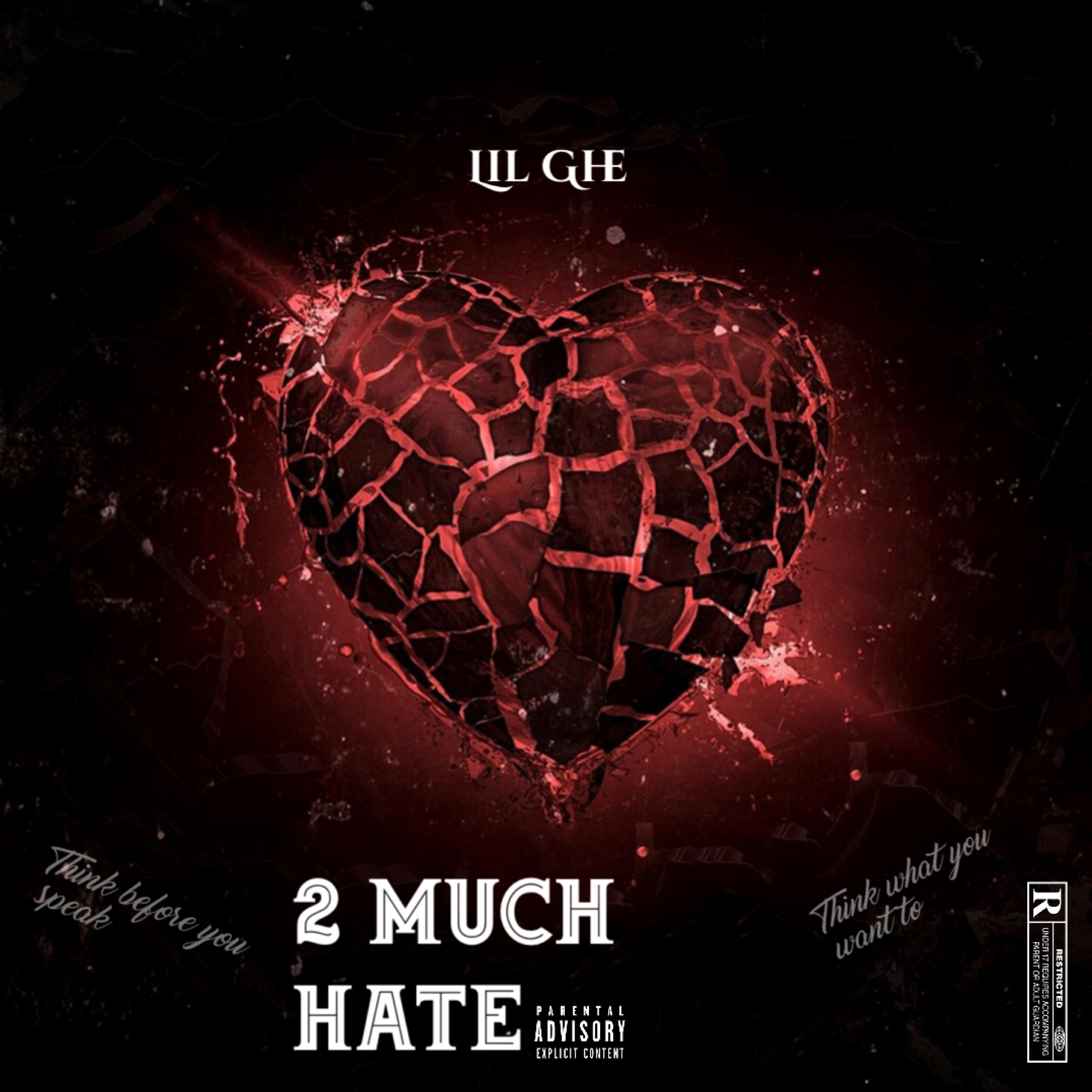2 Much Hate artwork