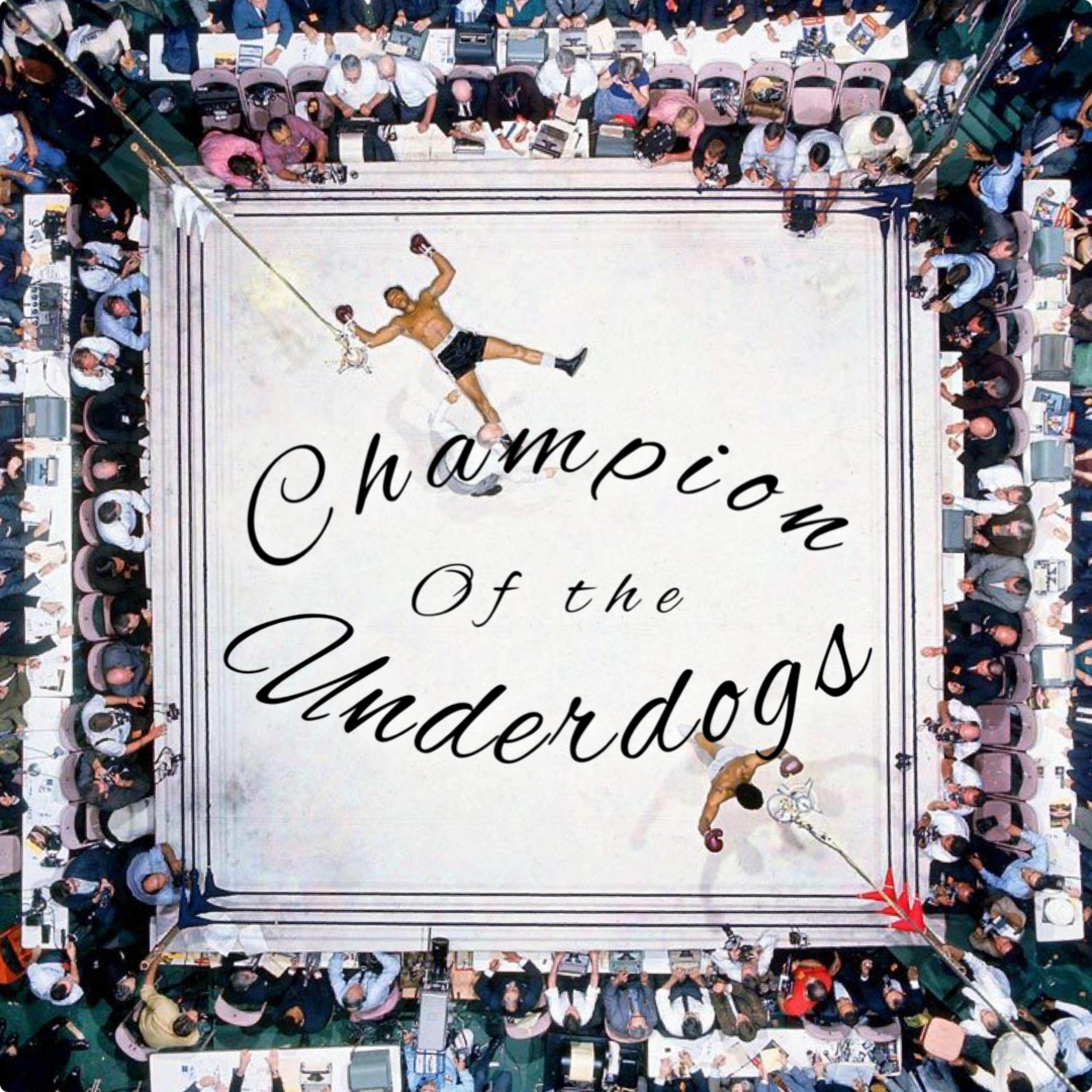 Champion Of The Underdogs artwork