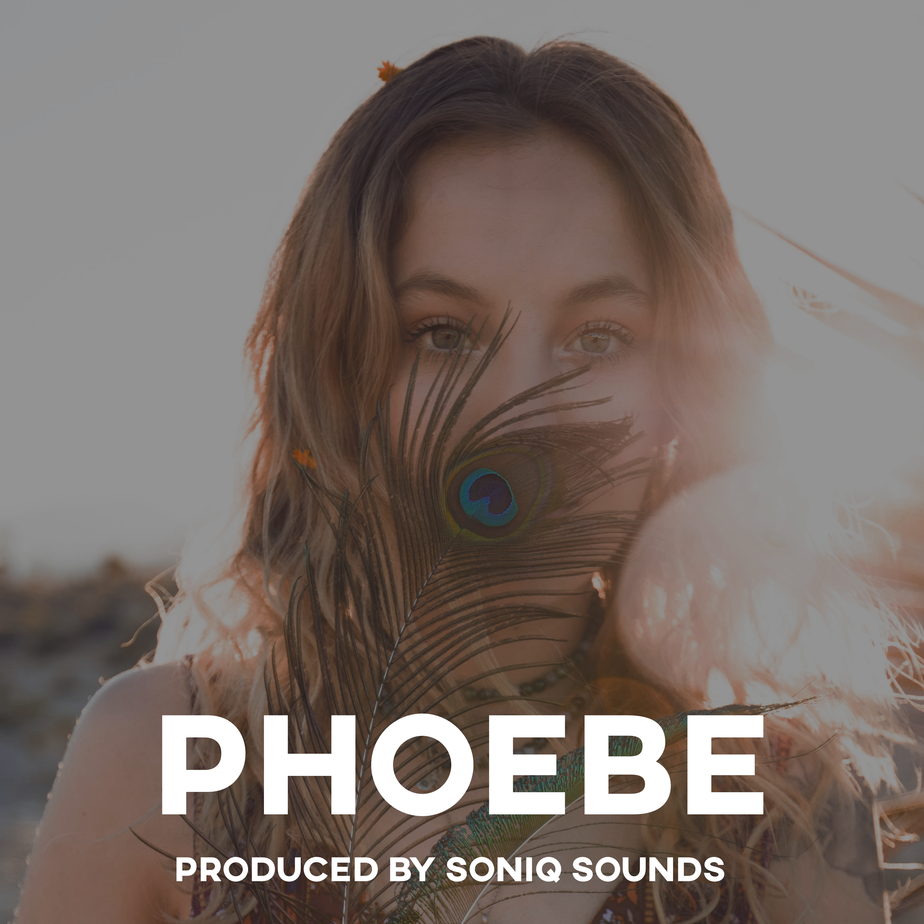 Phoebe (Instrumental) artwork