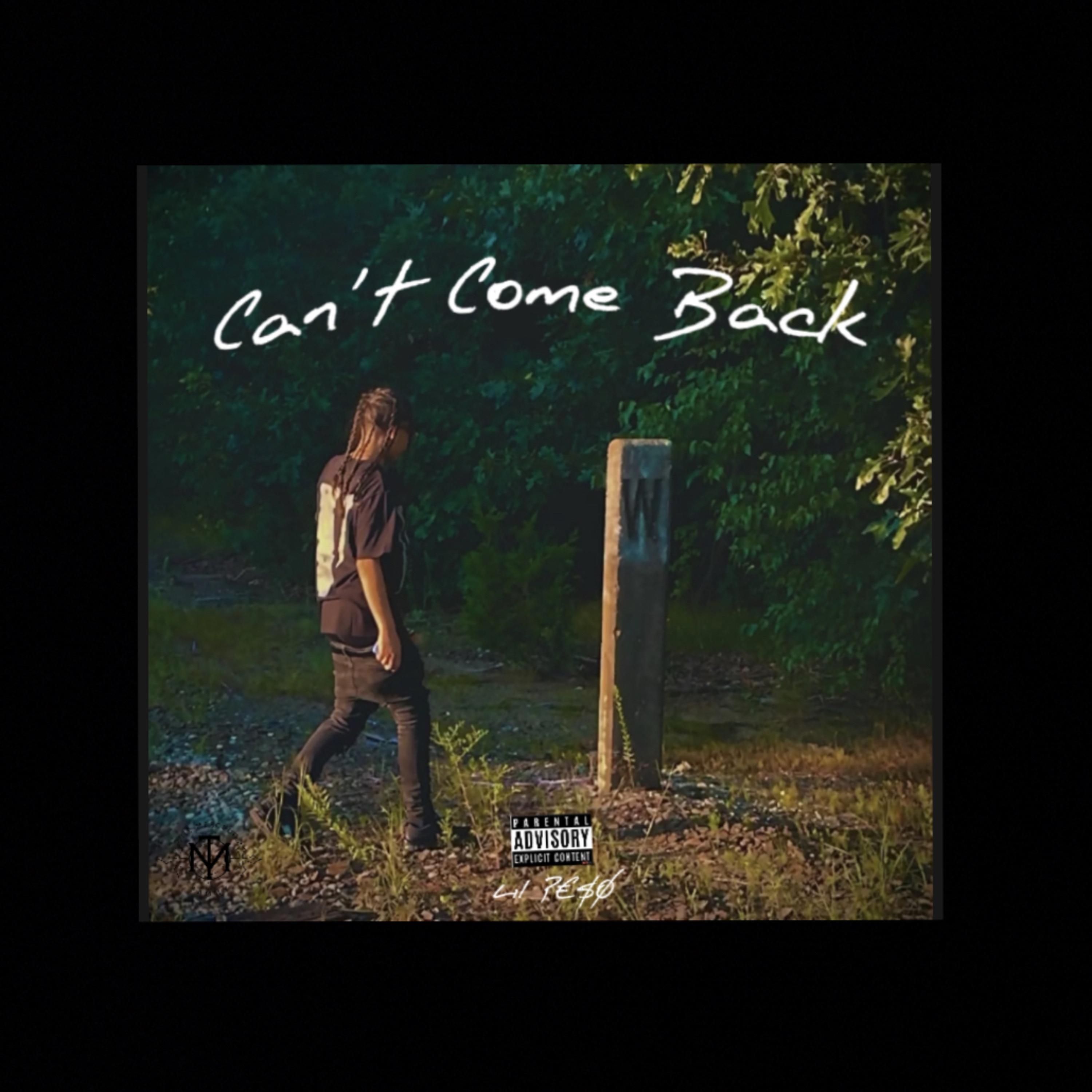 Cant Come Back artwork
