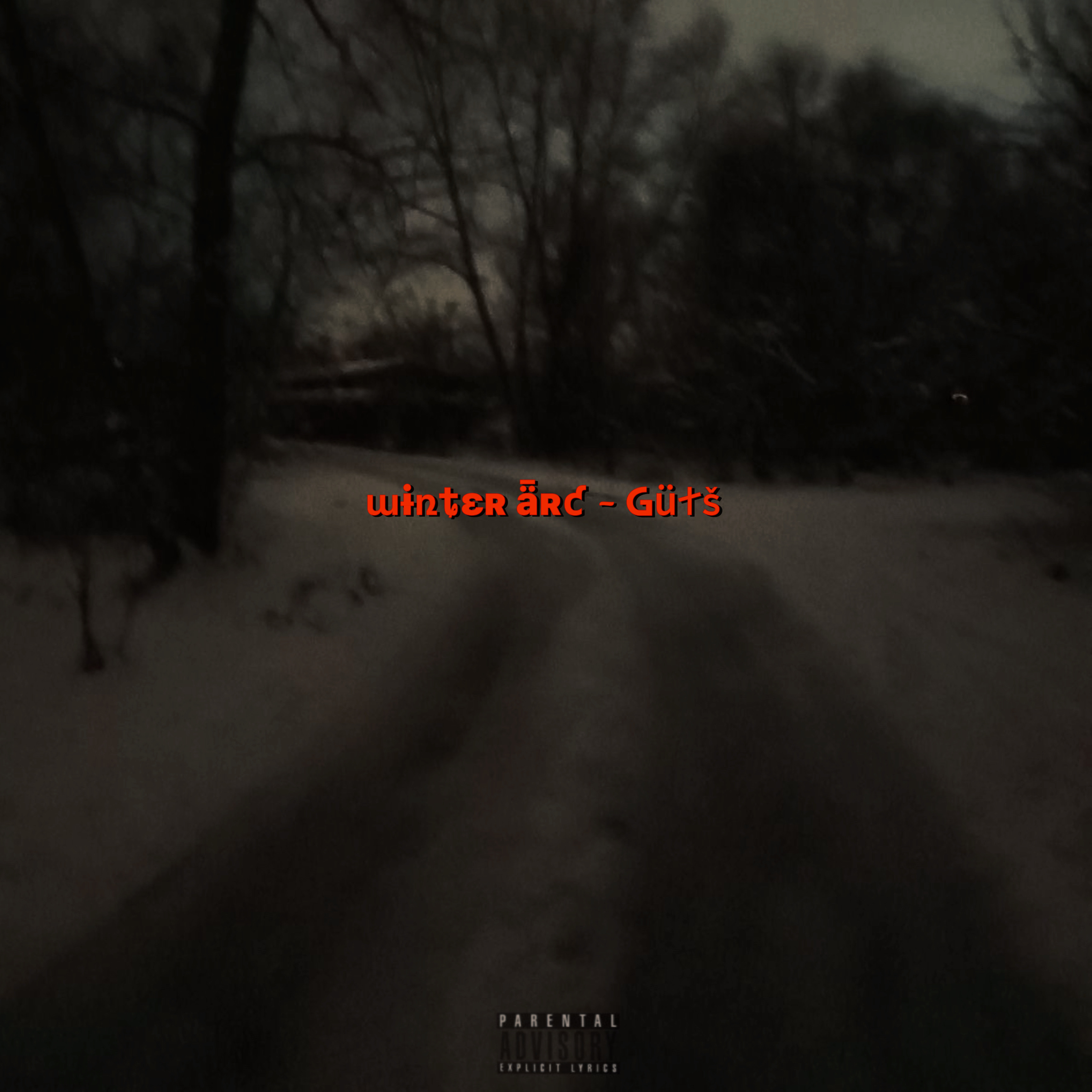 WINTER ARC - Gütš artwork