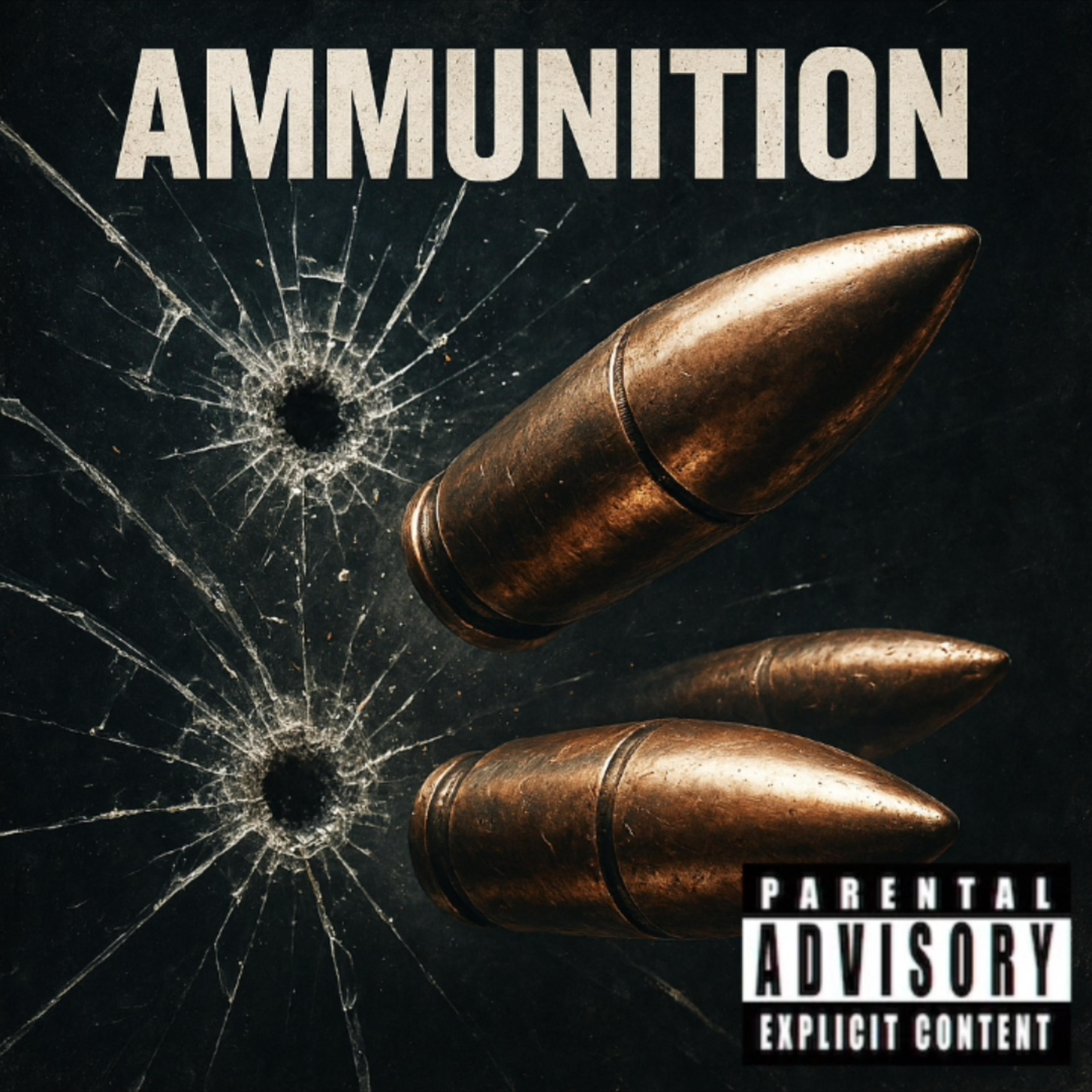 Ammunition artwork