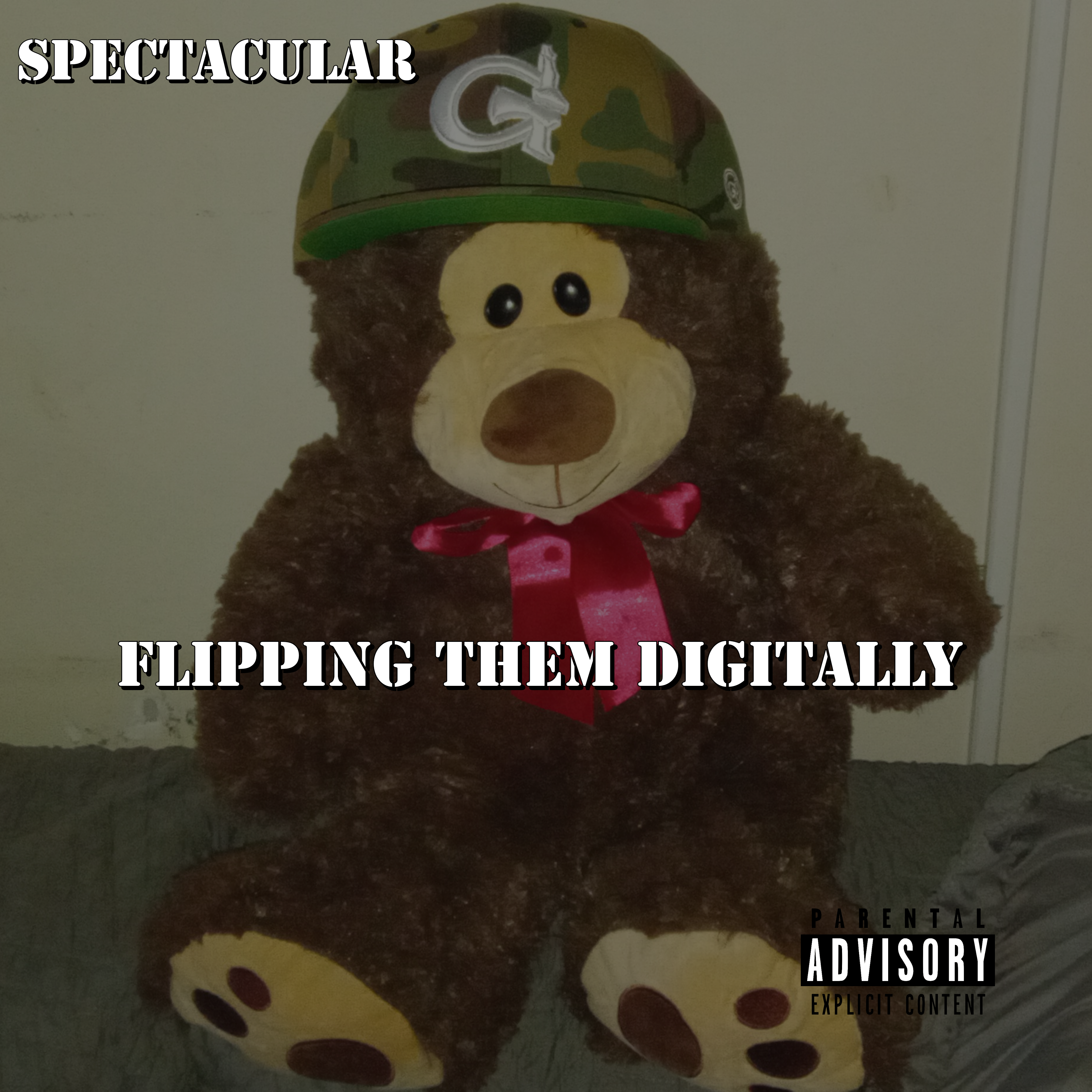 FLIPPING THEM DIGITALLY artwork