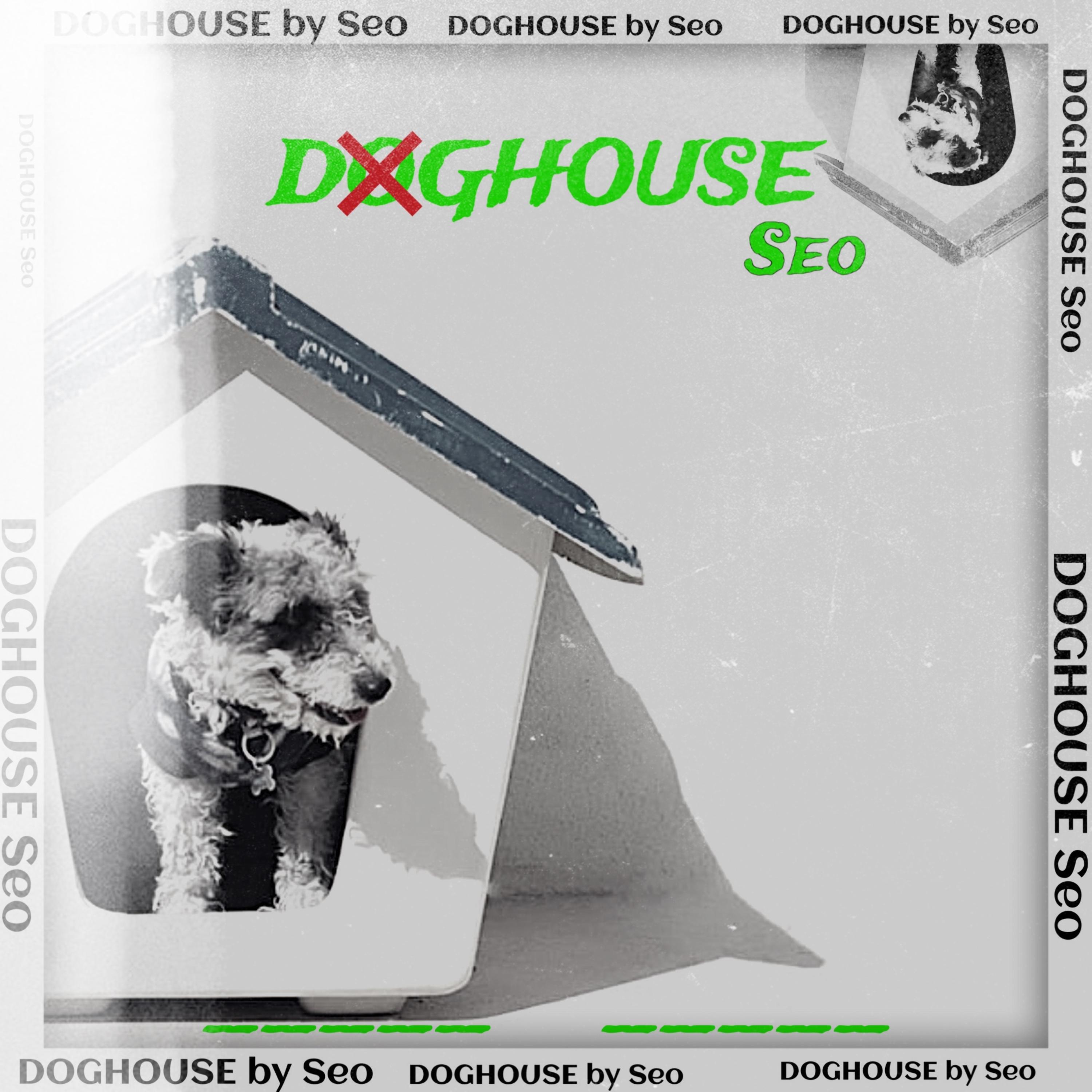 DOGHOUSE artwork