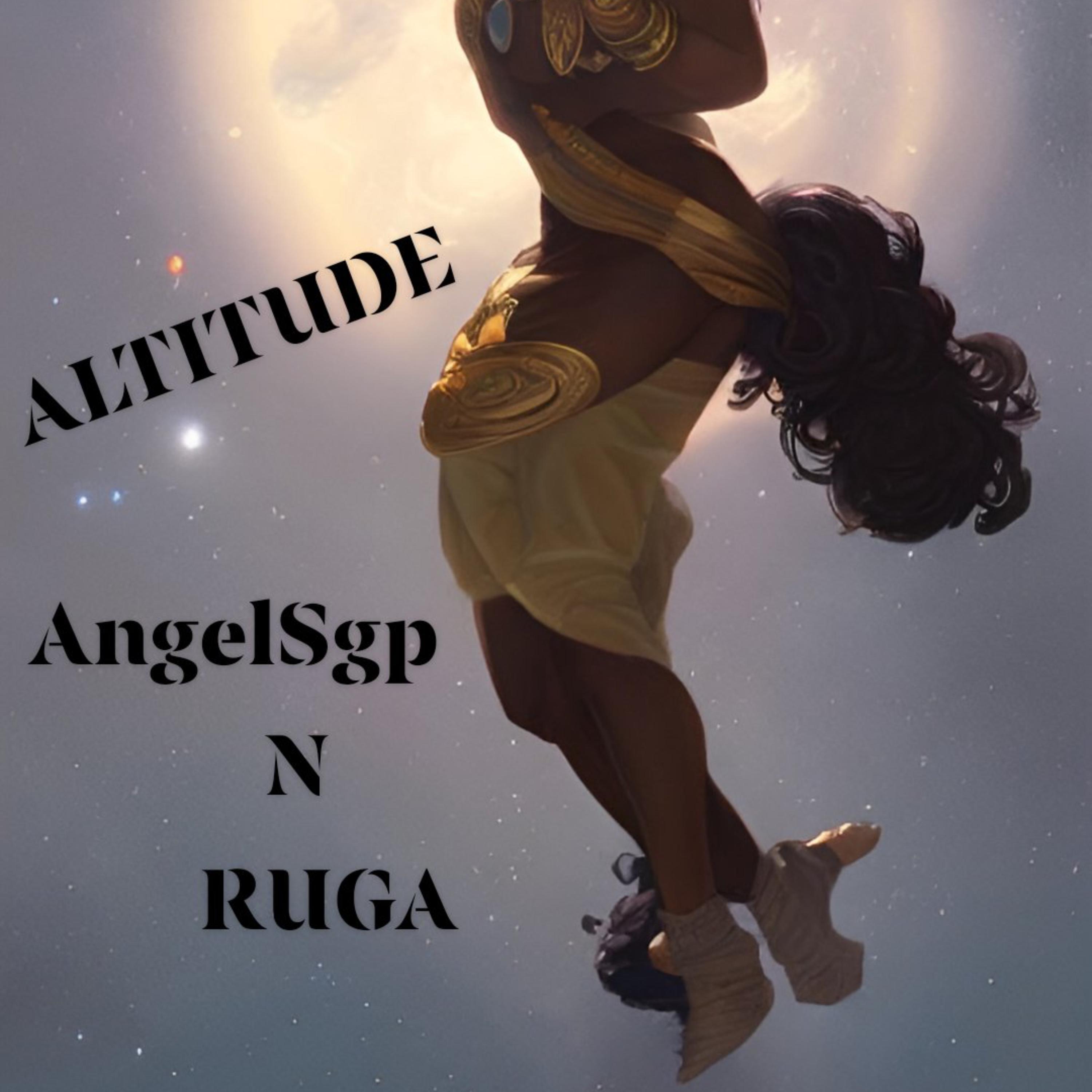 ALTITUDE LEVEL artwork