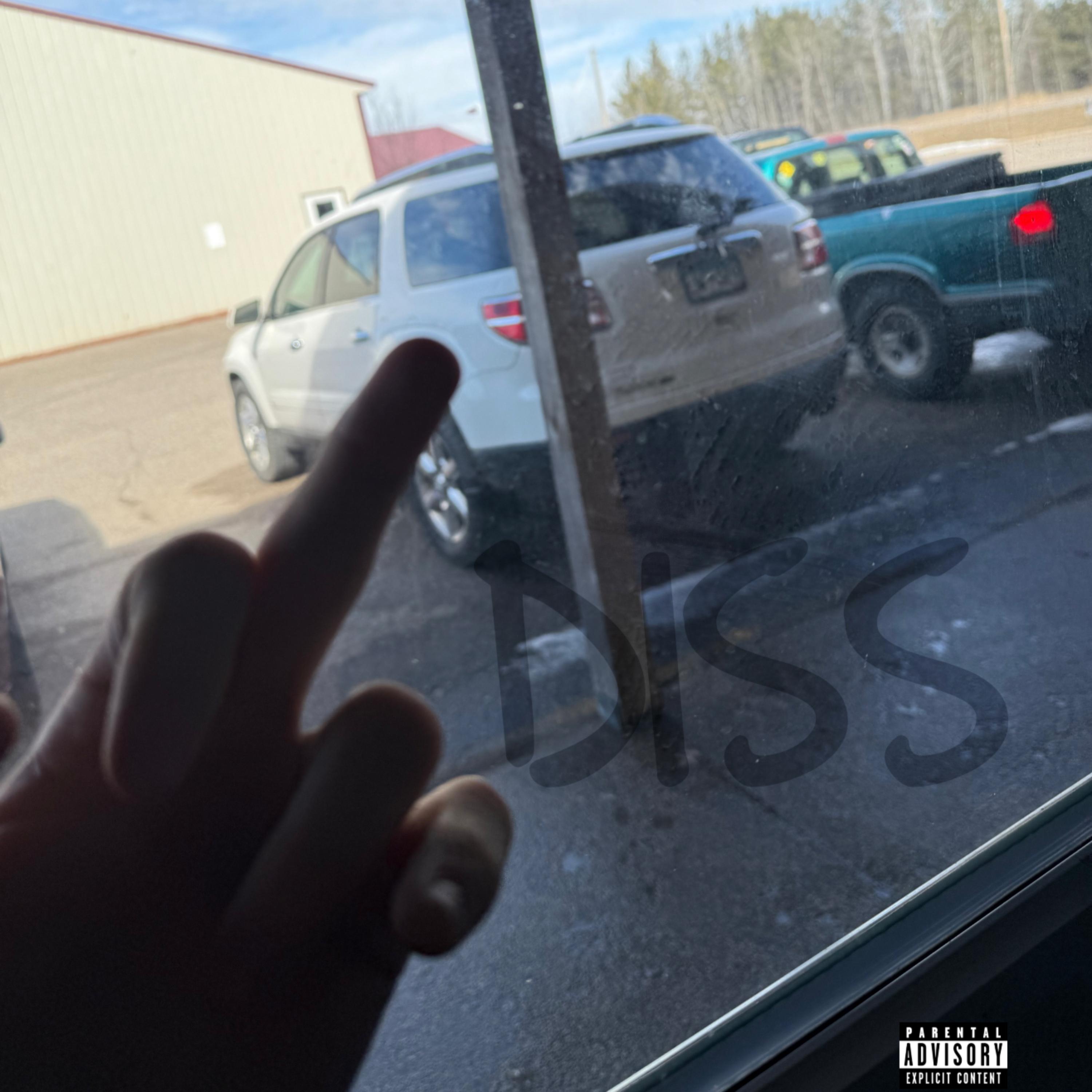 DISS artwork