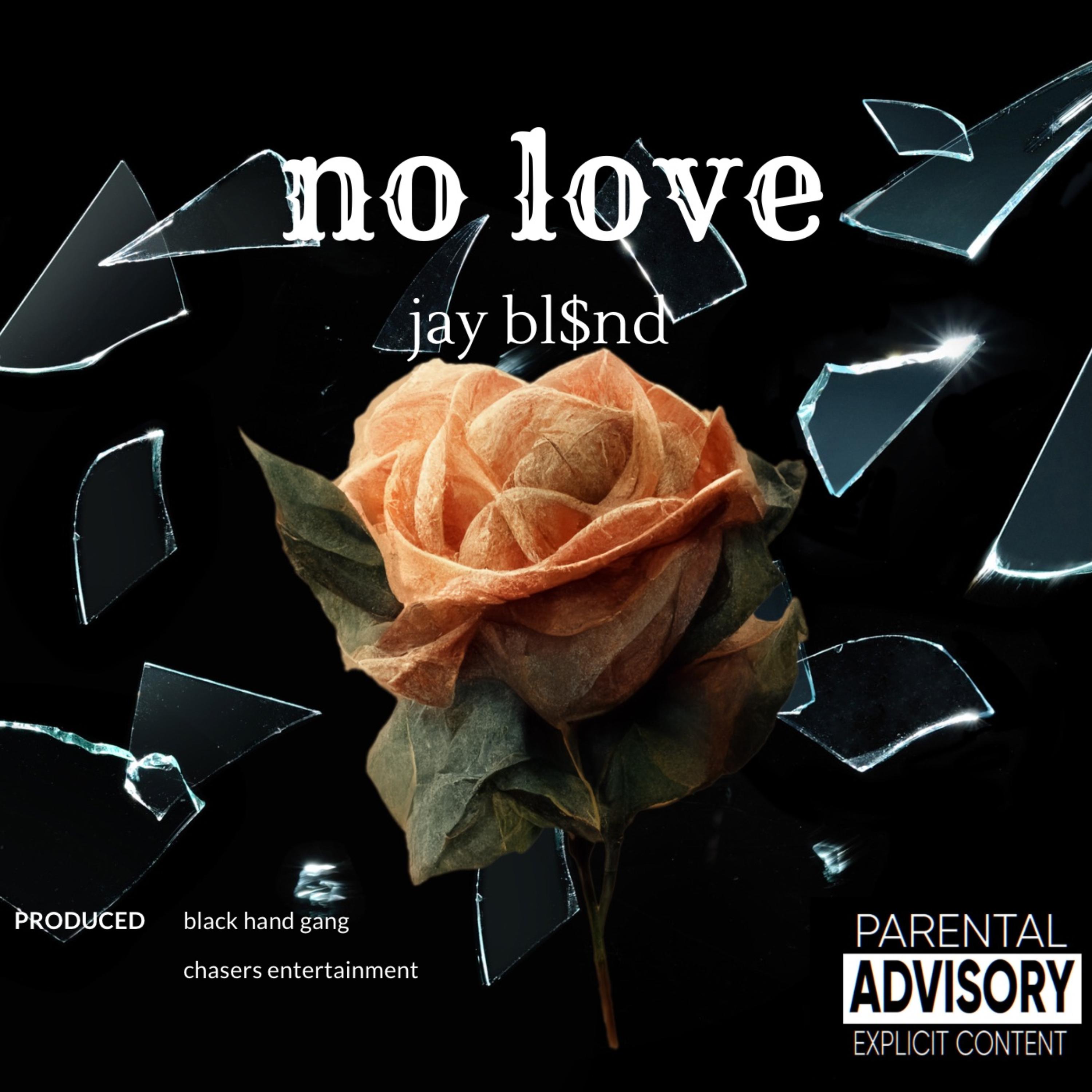 no love artwork