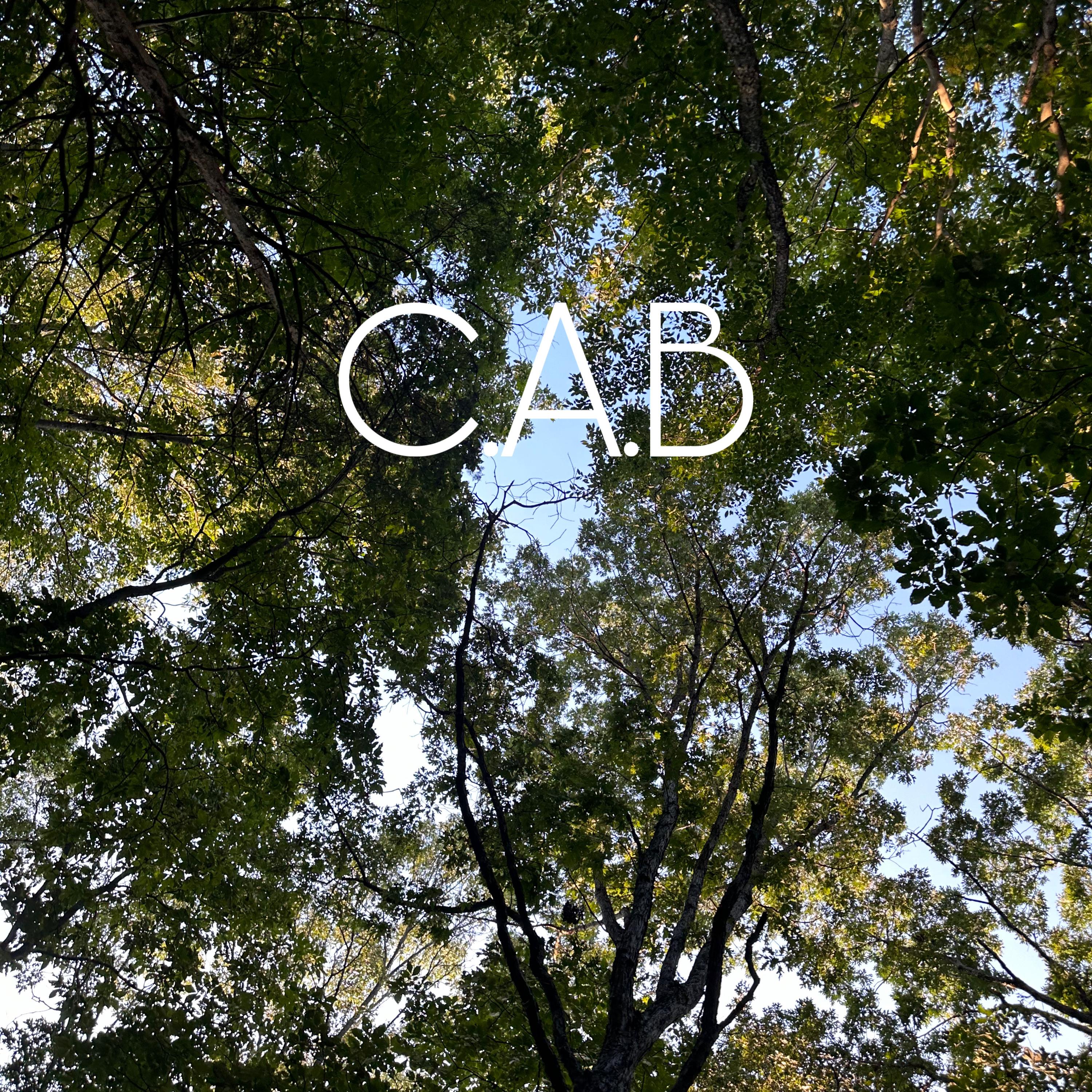 Clean Desk Vibes artwork