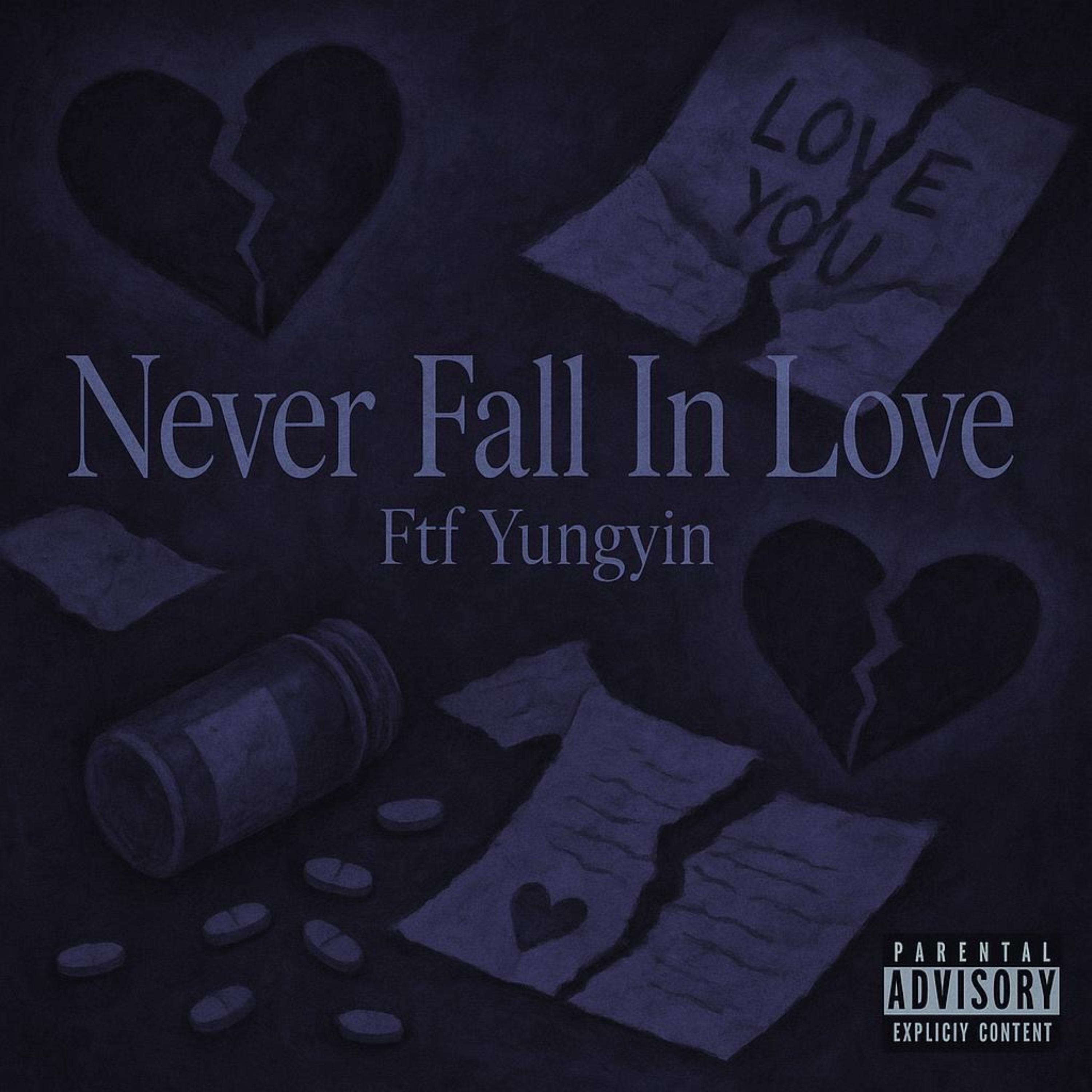 NEVER FALL IN LOVE artwork