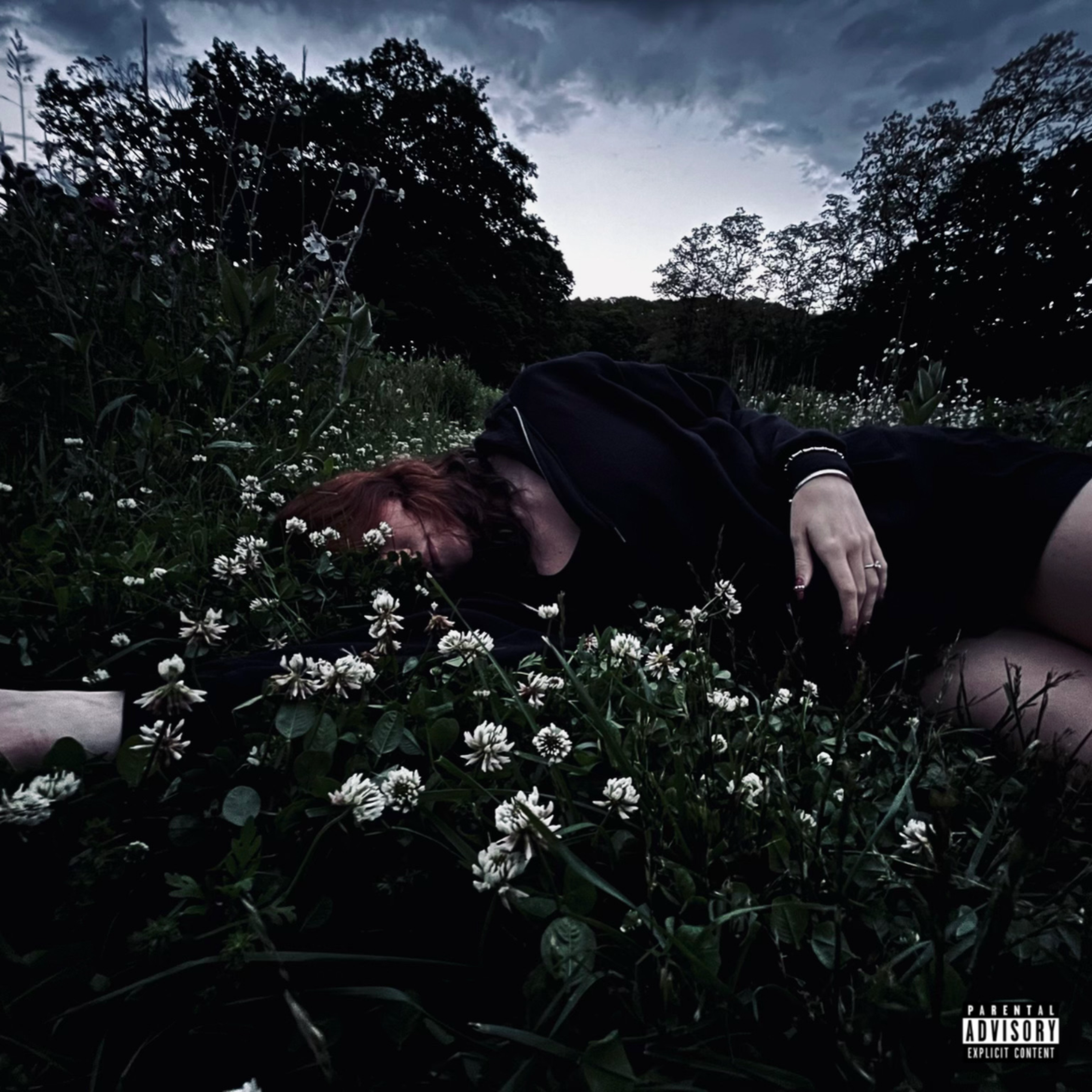 Dreaming artwork