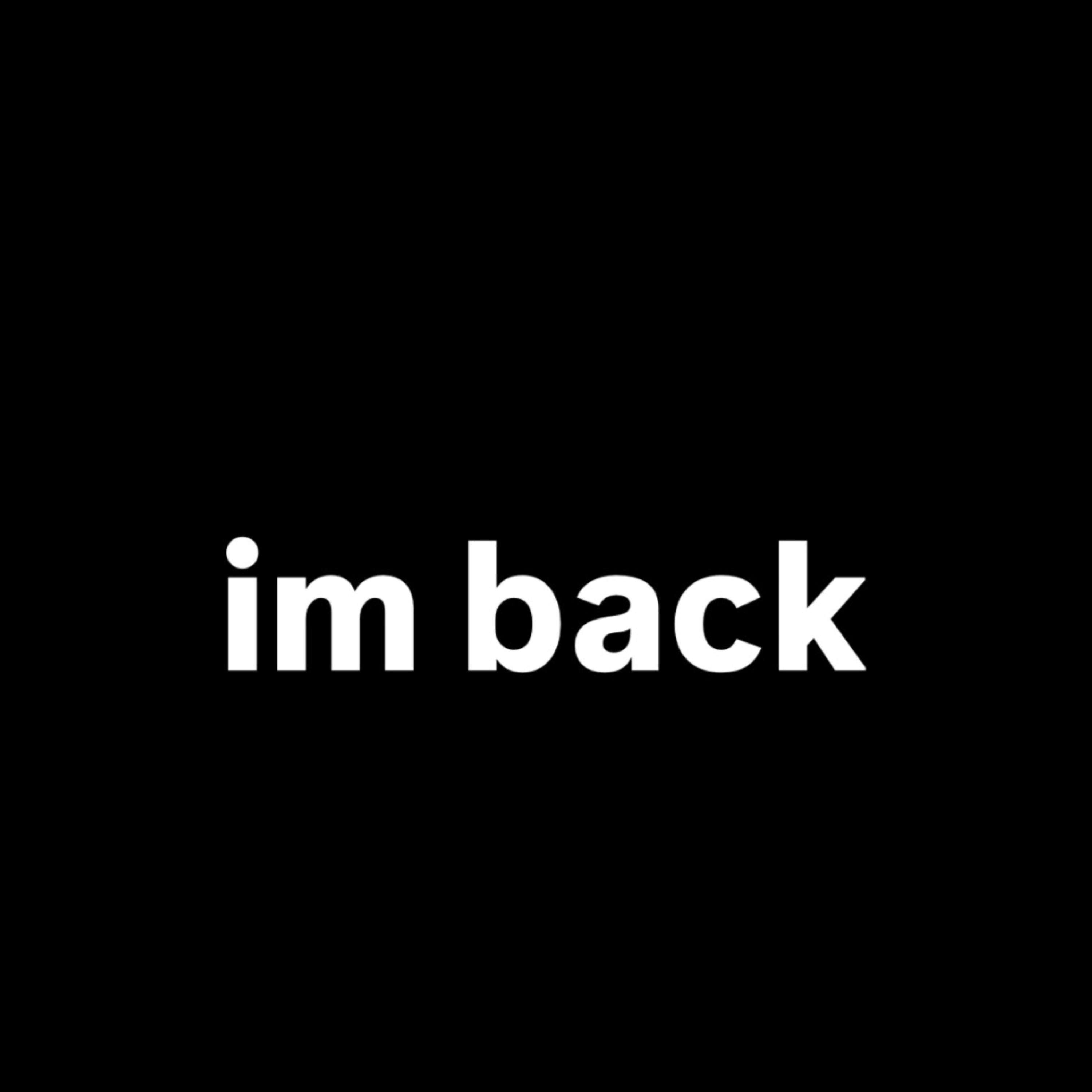 im back artwork