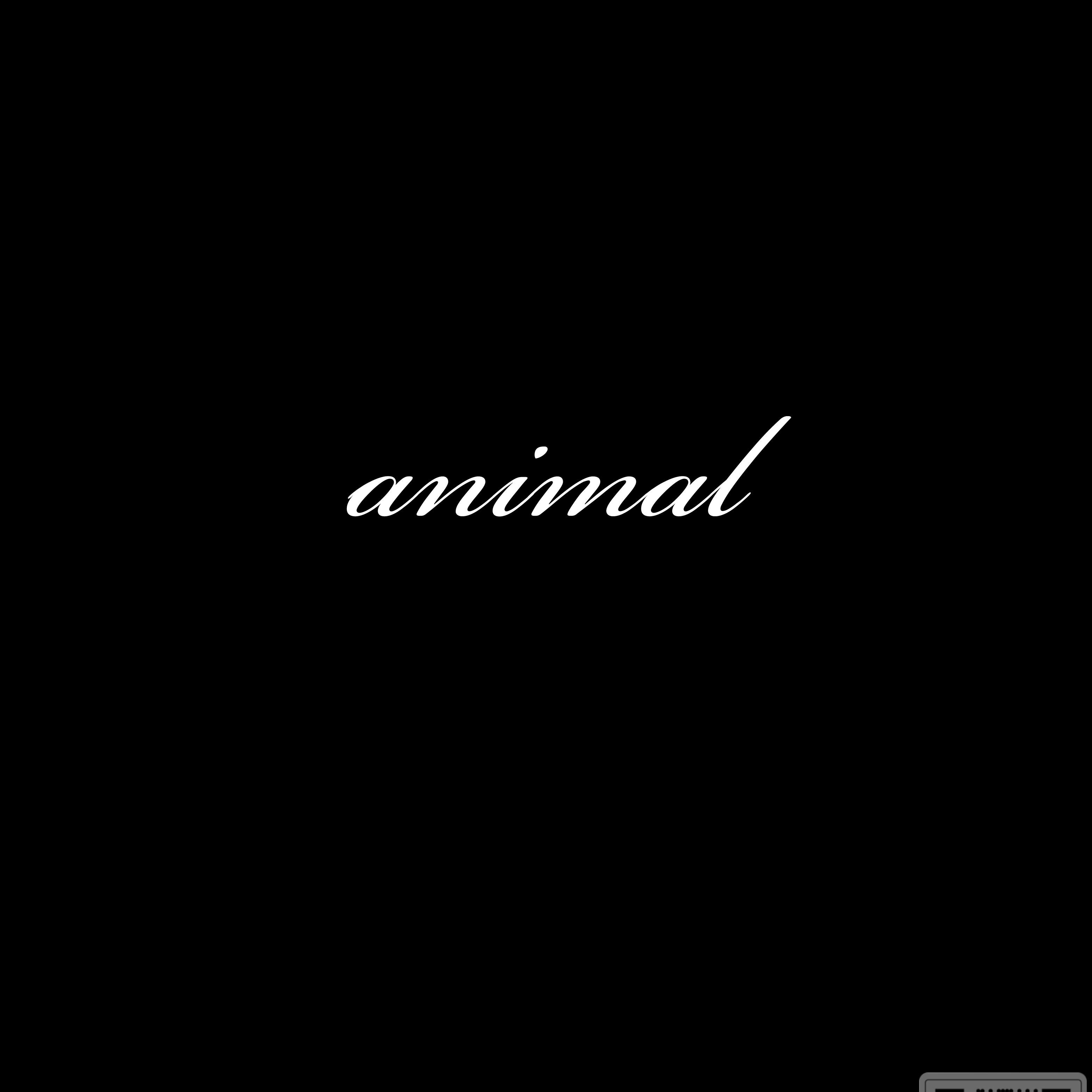 animal artwork