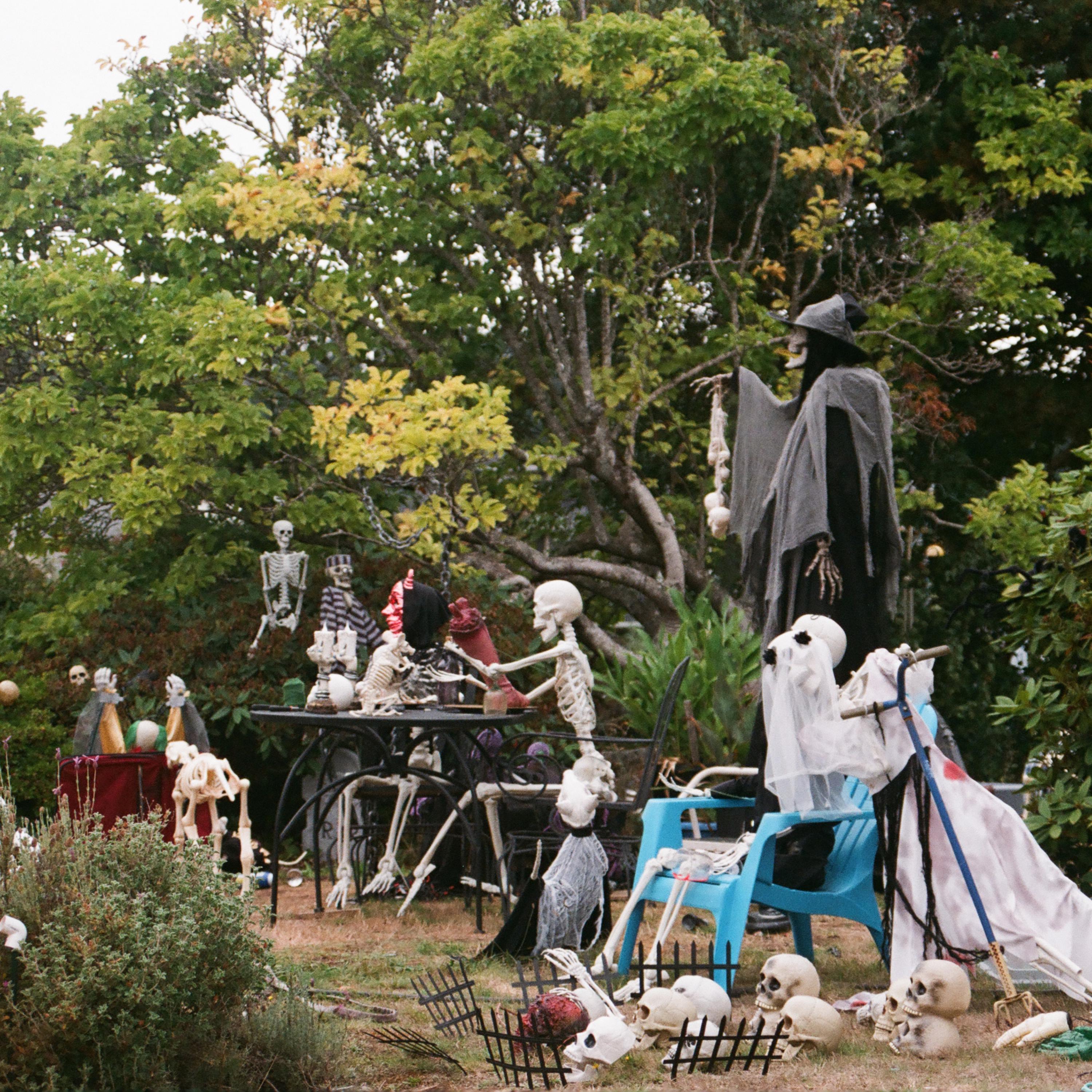 DEAD OR LIVING artwork