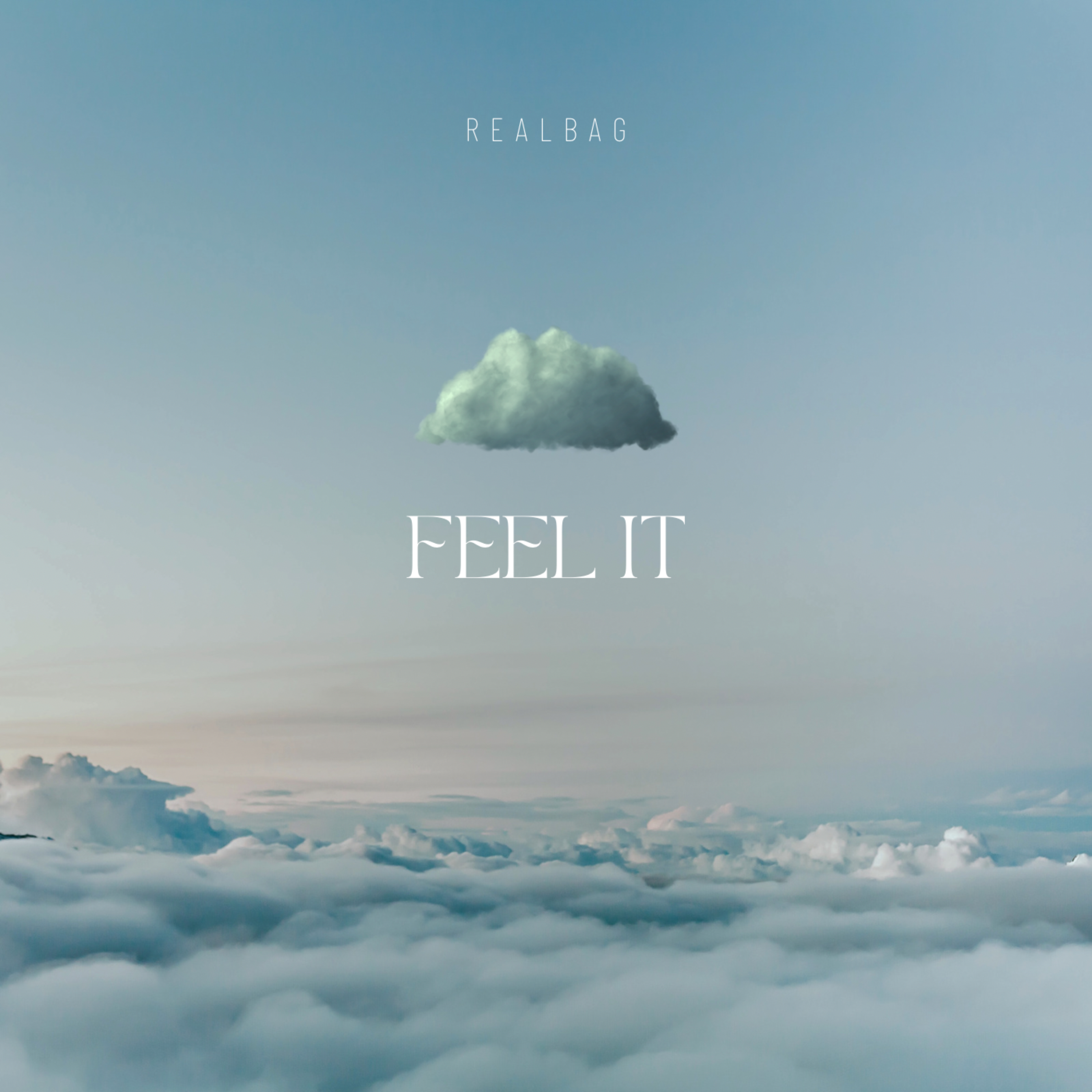 Feel it artwork