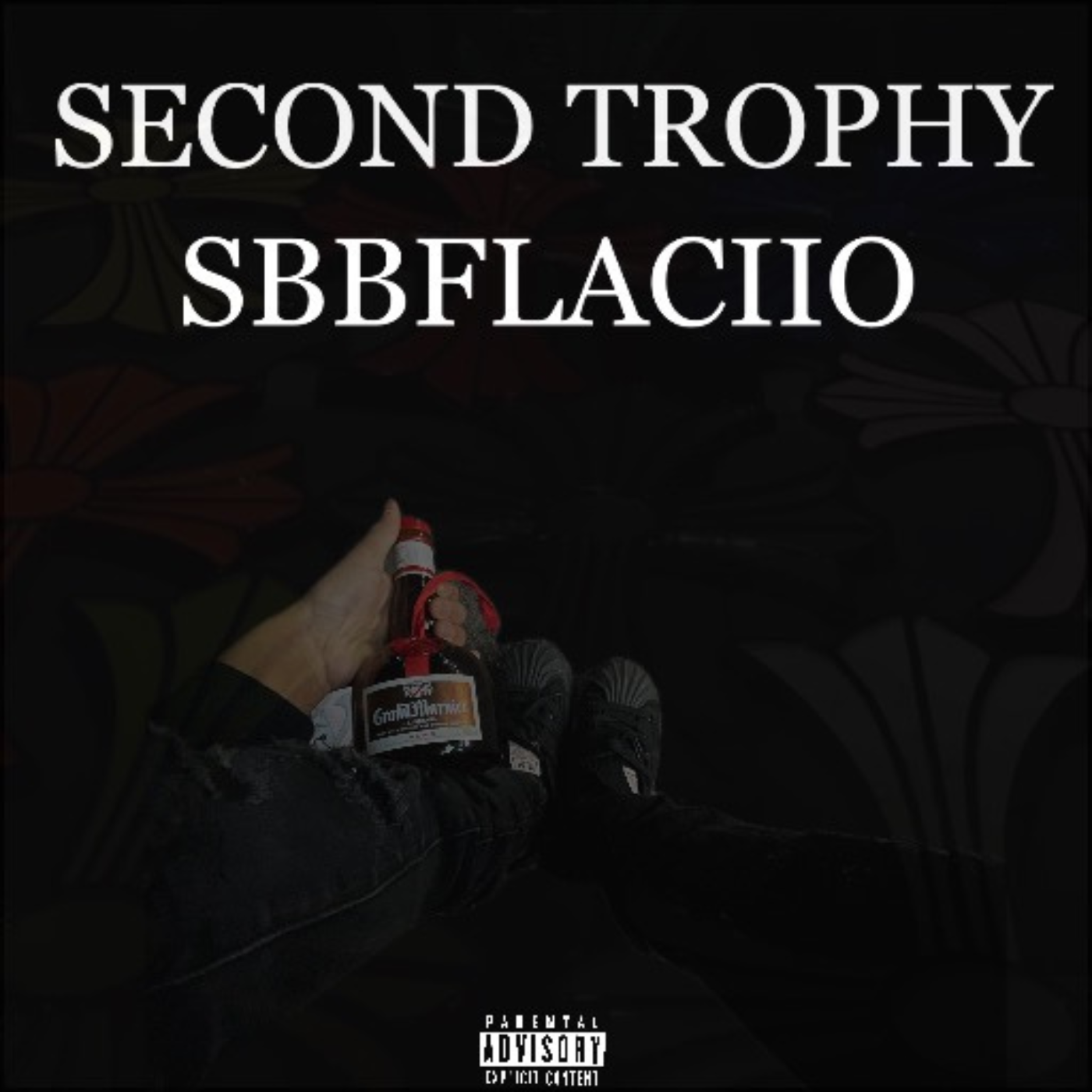 Second Trophy artwork