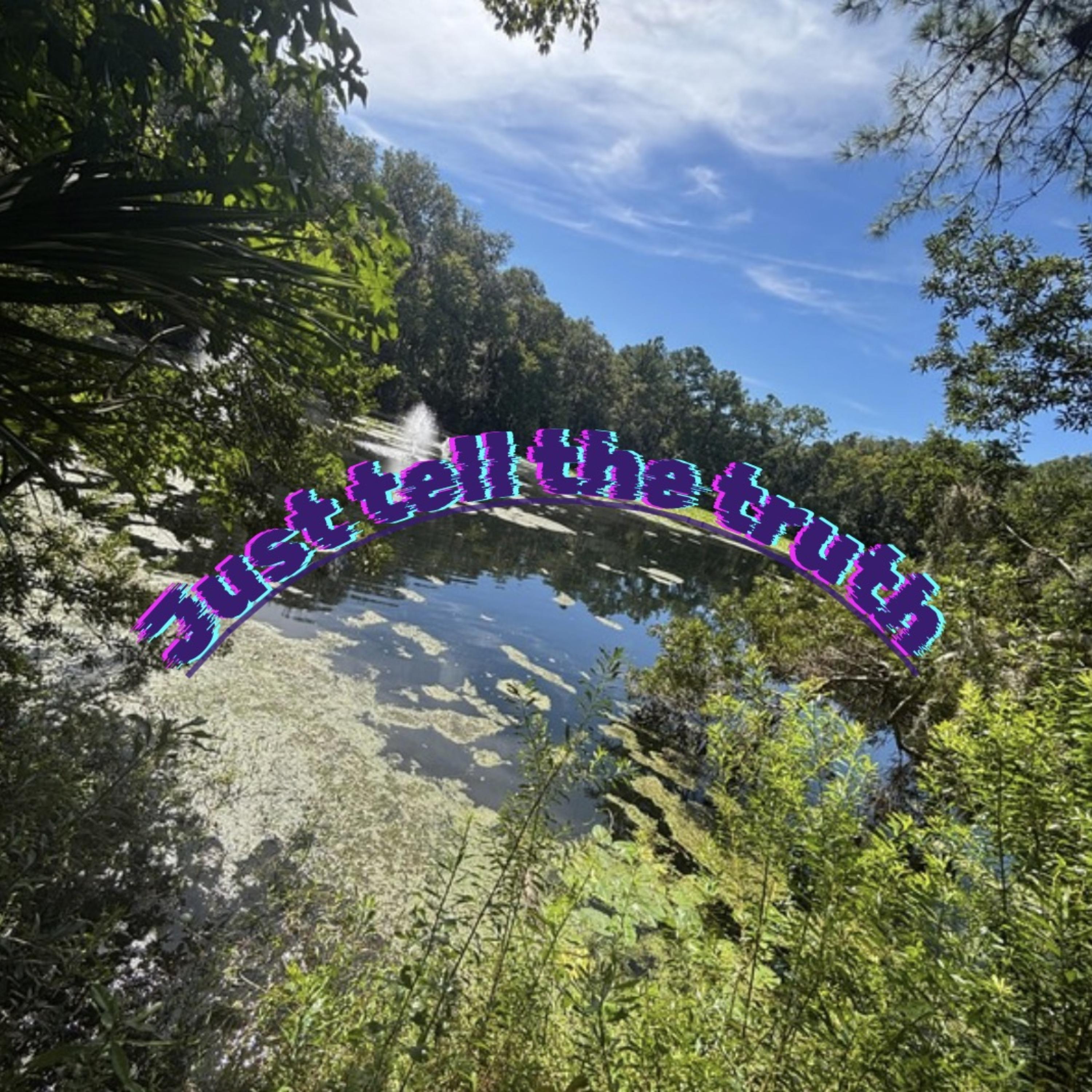Just Tell The Truth by KRD Shaggy Smokez cover art