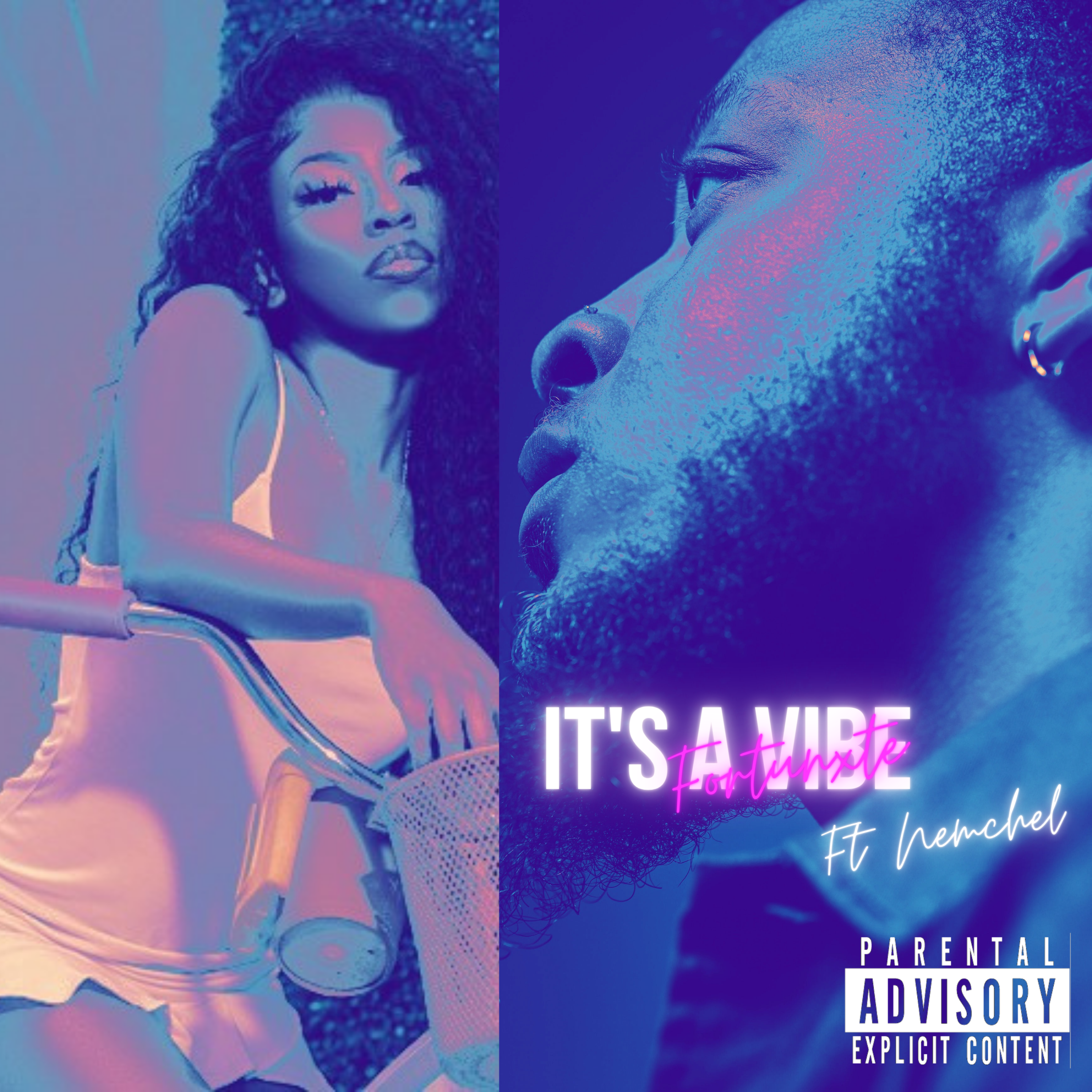 It's A Vibe  by Fortunxte cover art