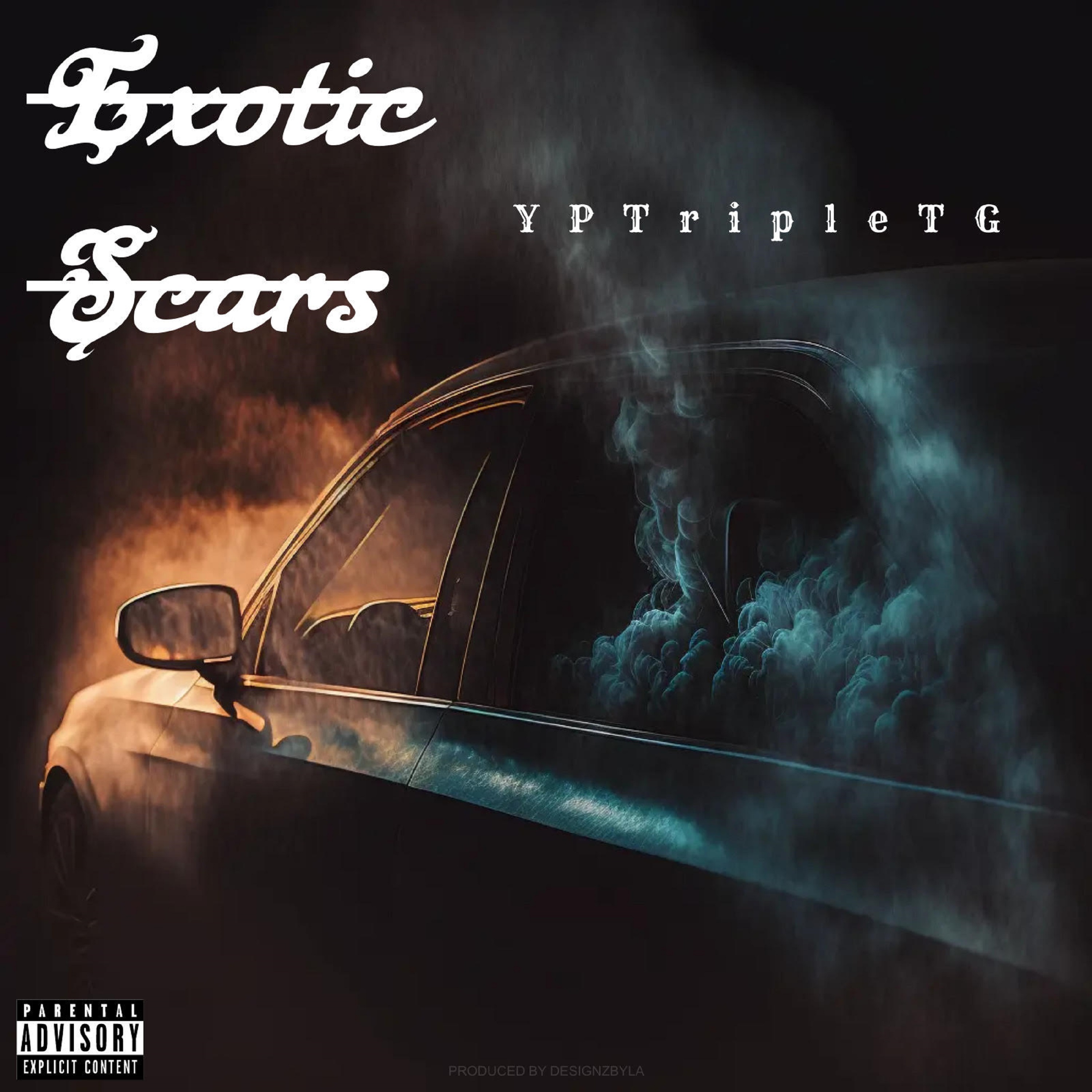 Exotic Scars artwork
