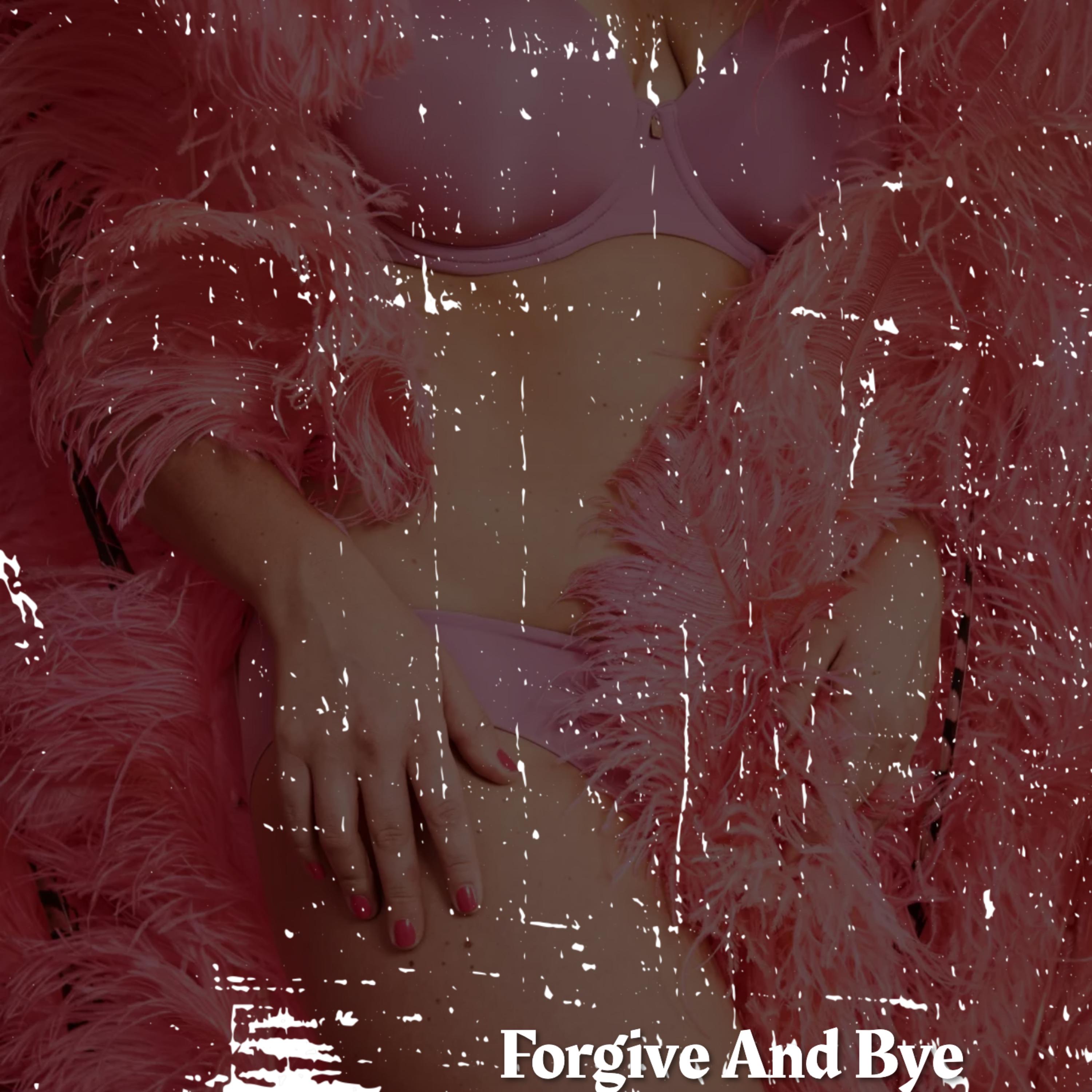 Forgive And Bye artwork