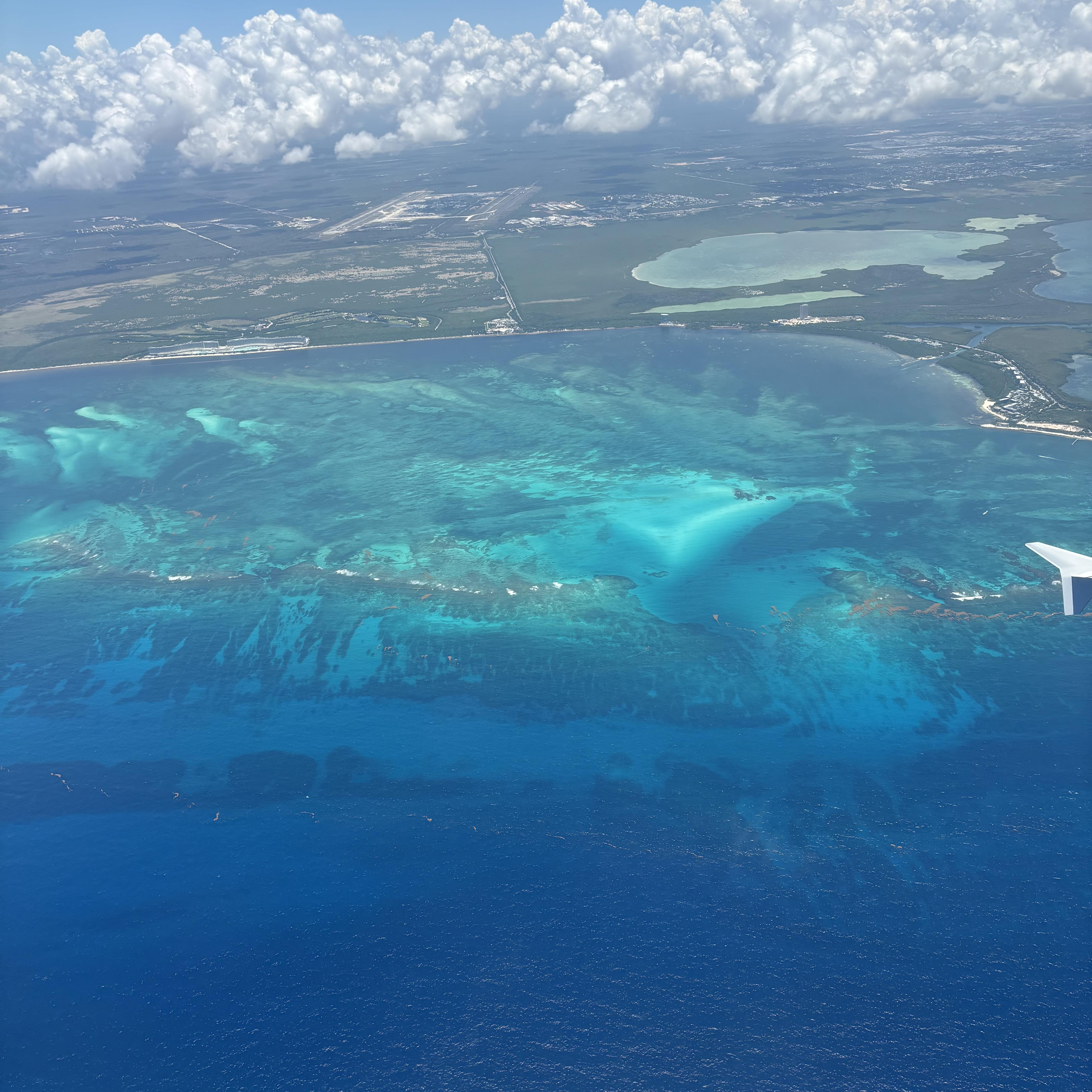 Living Great artwork