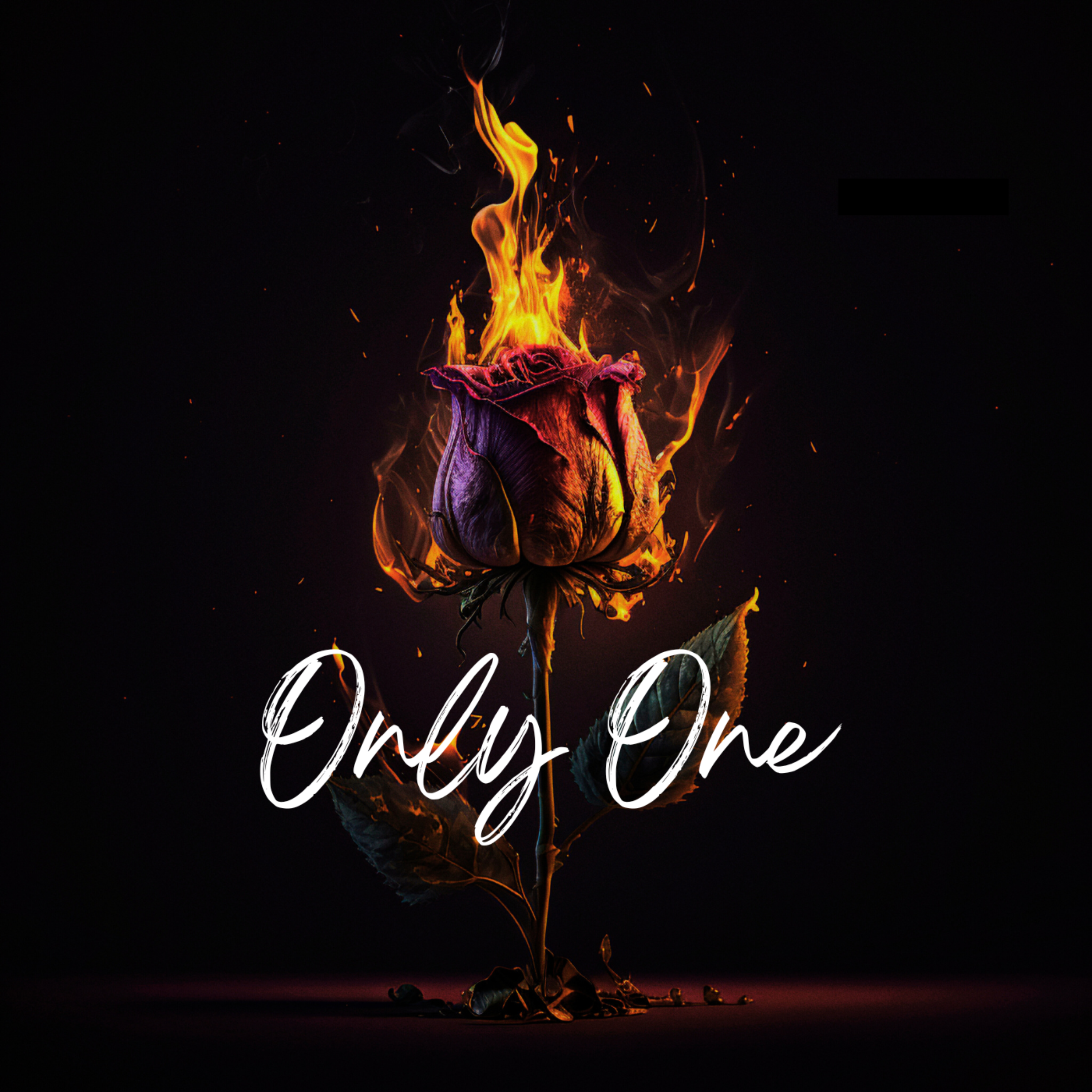 Only One artwork