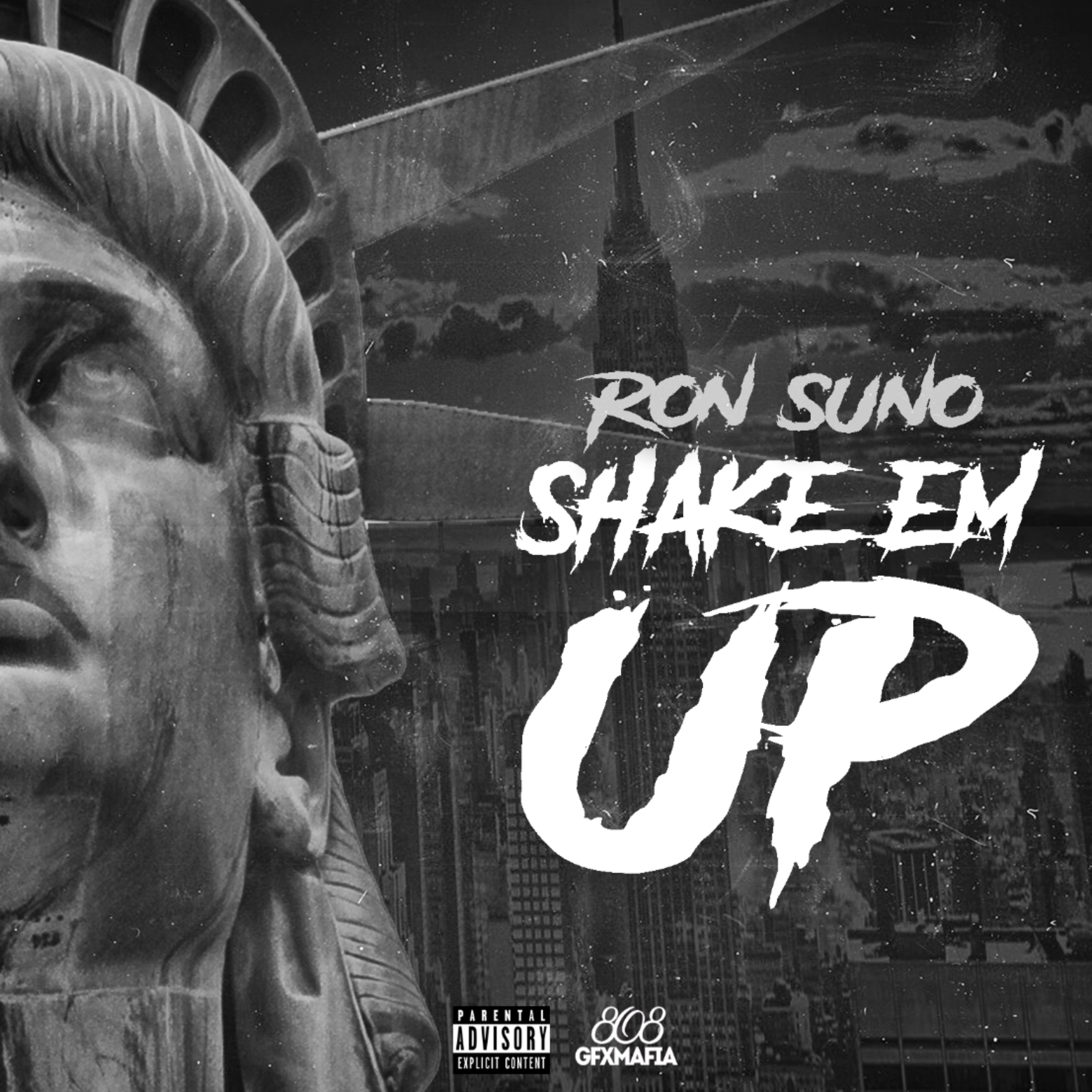 Shake em up artwork