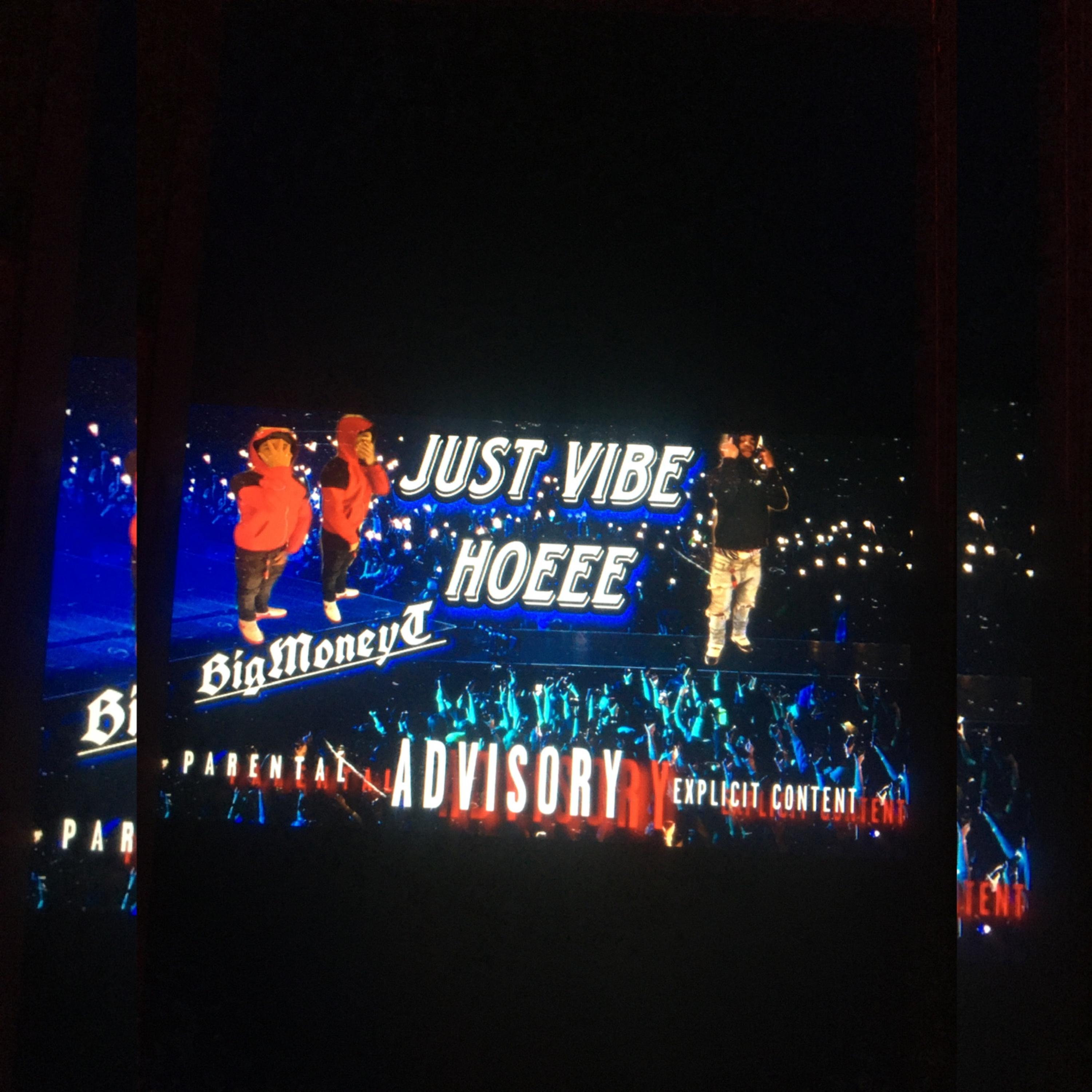 Just Vibe Hoeee artwork