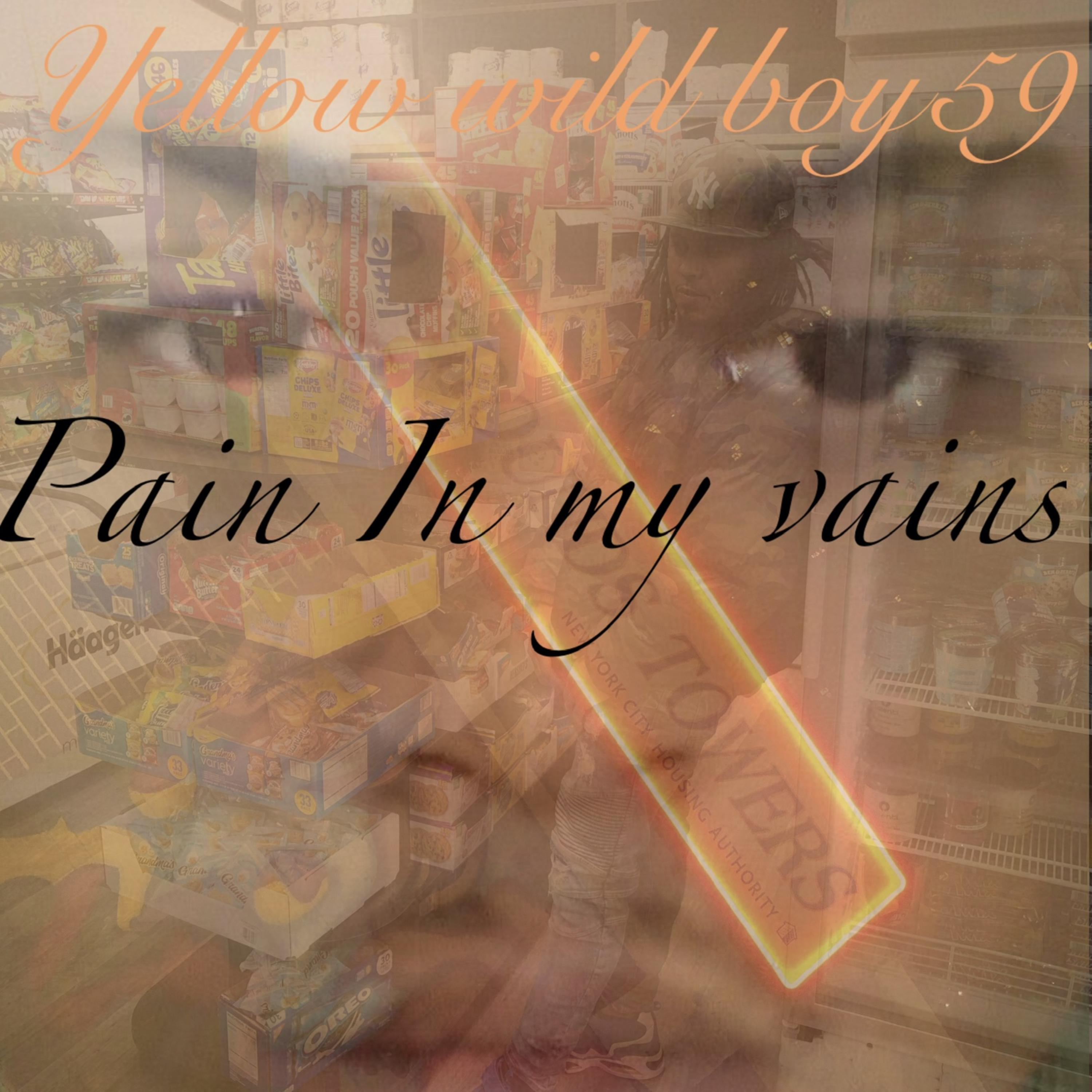 Pain In My Vain artwork