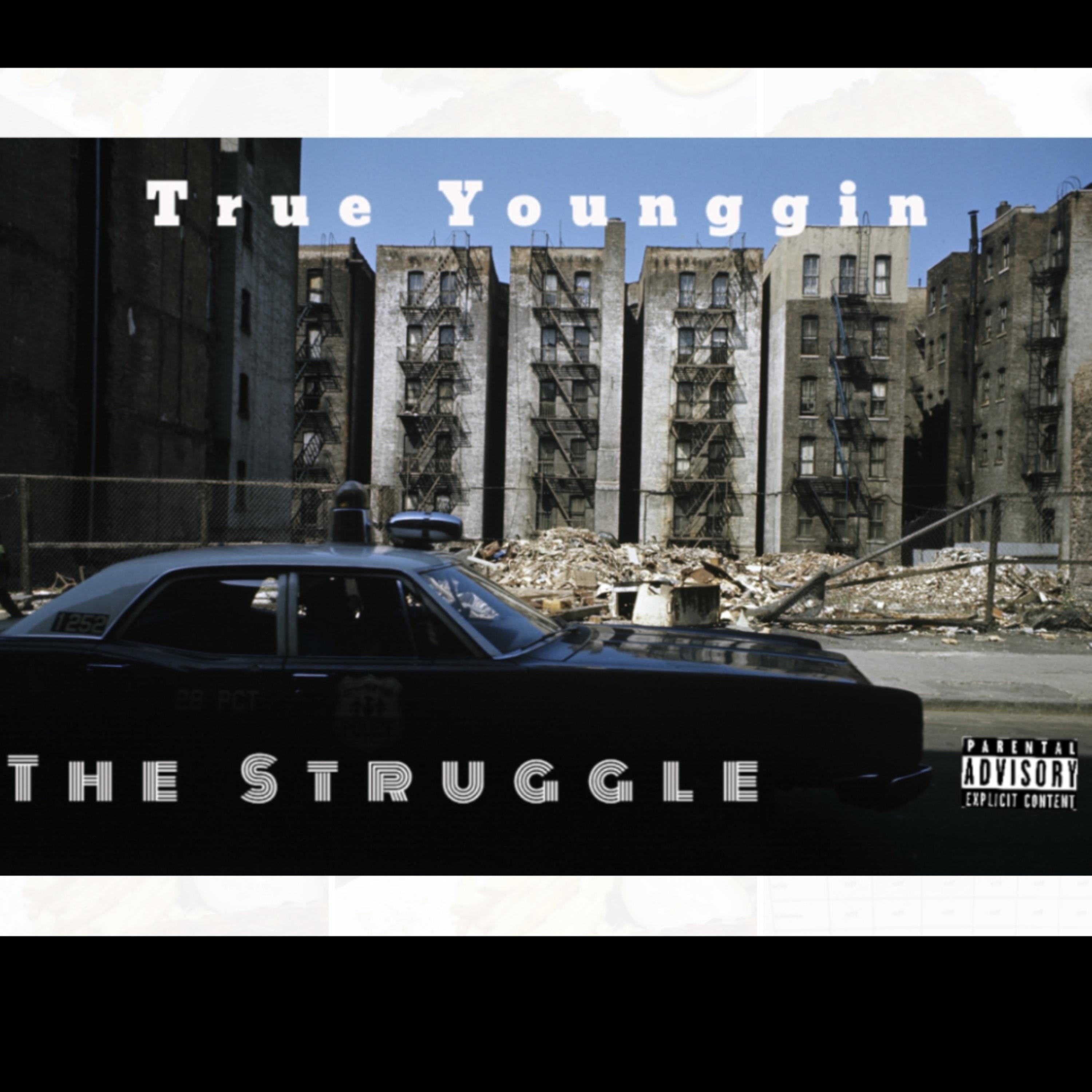 The Struggle artwork