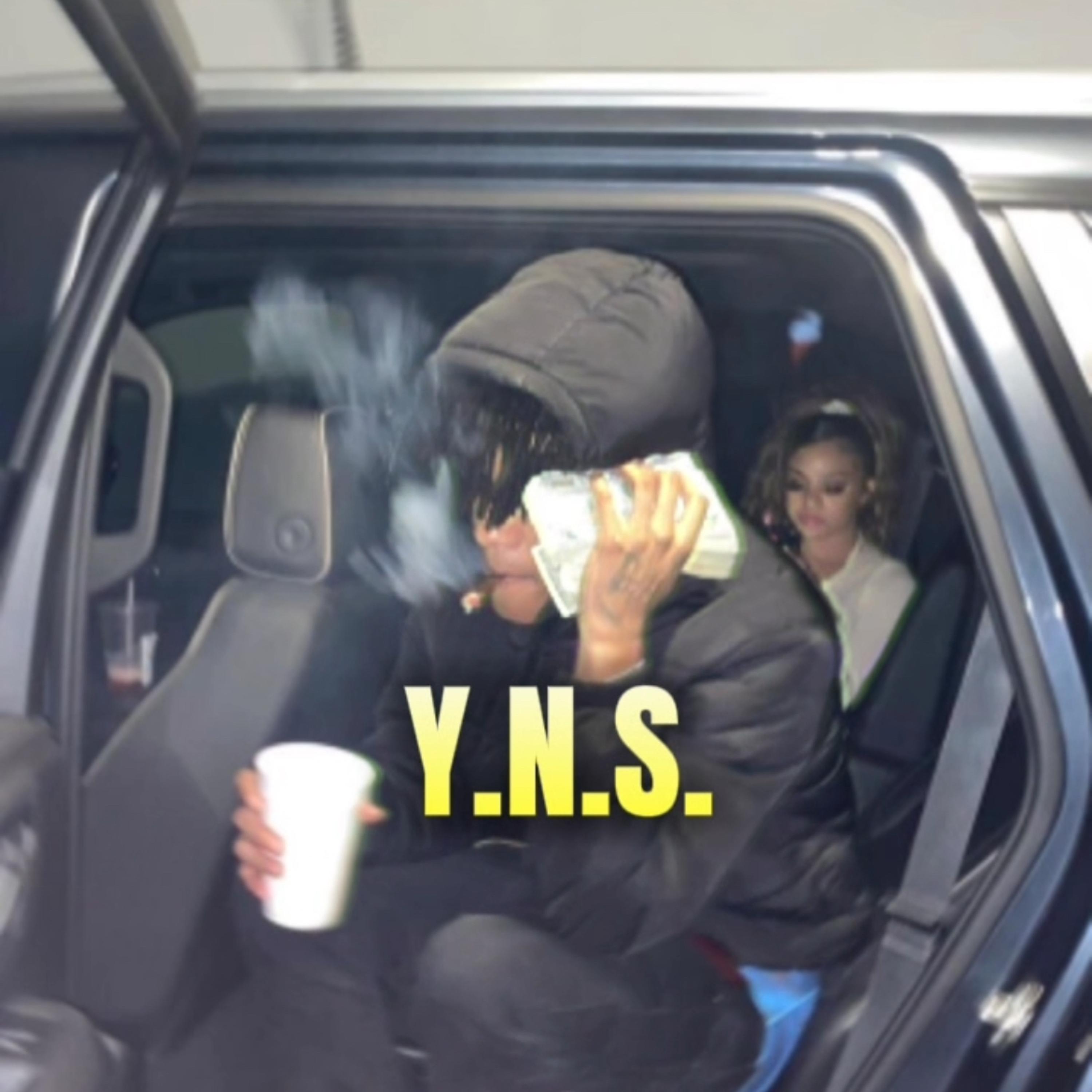 YNS artwork
