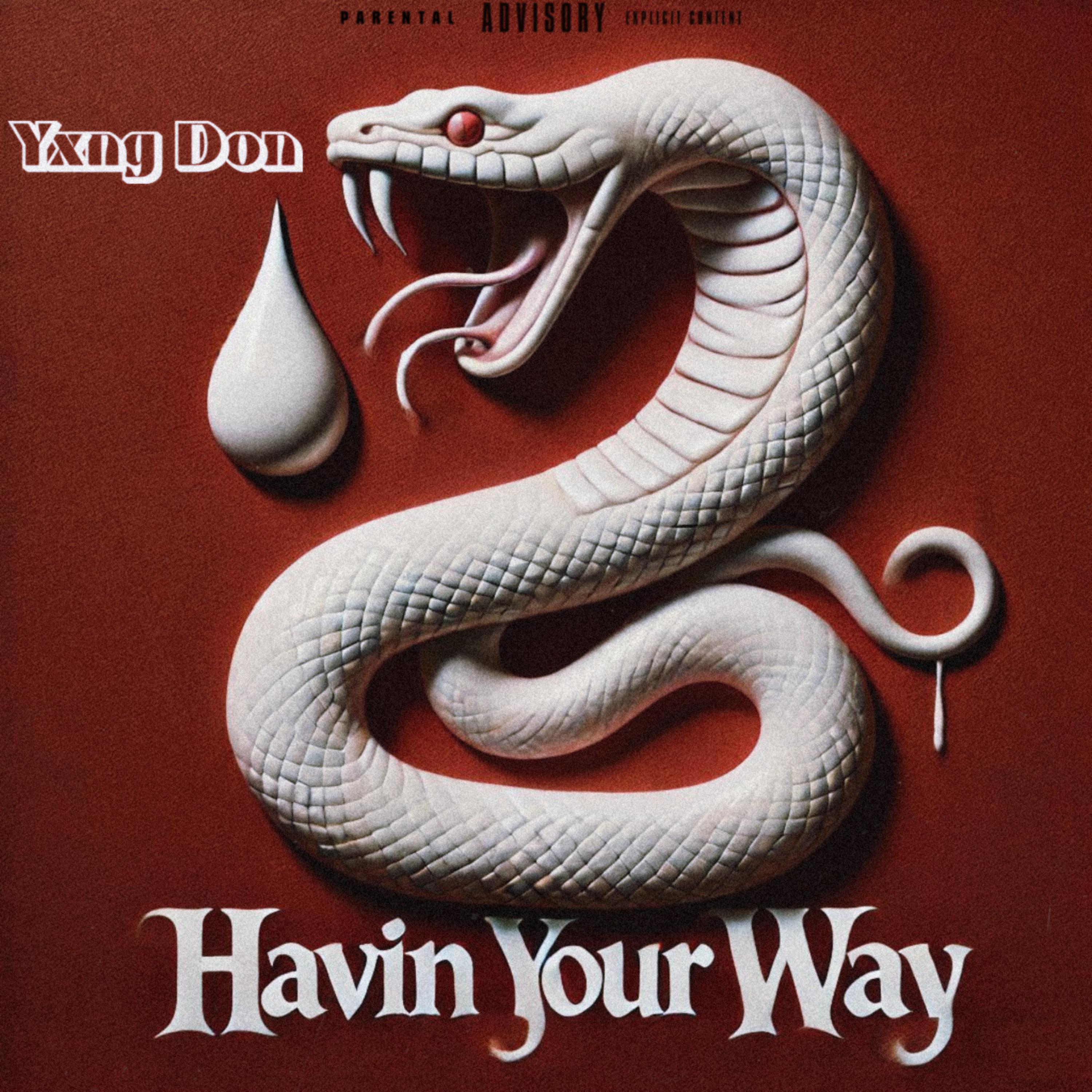 HAVIN’ YOUR WAY artwork