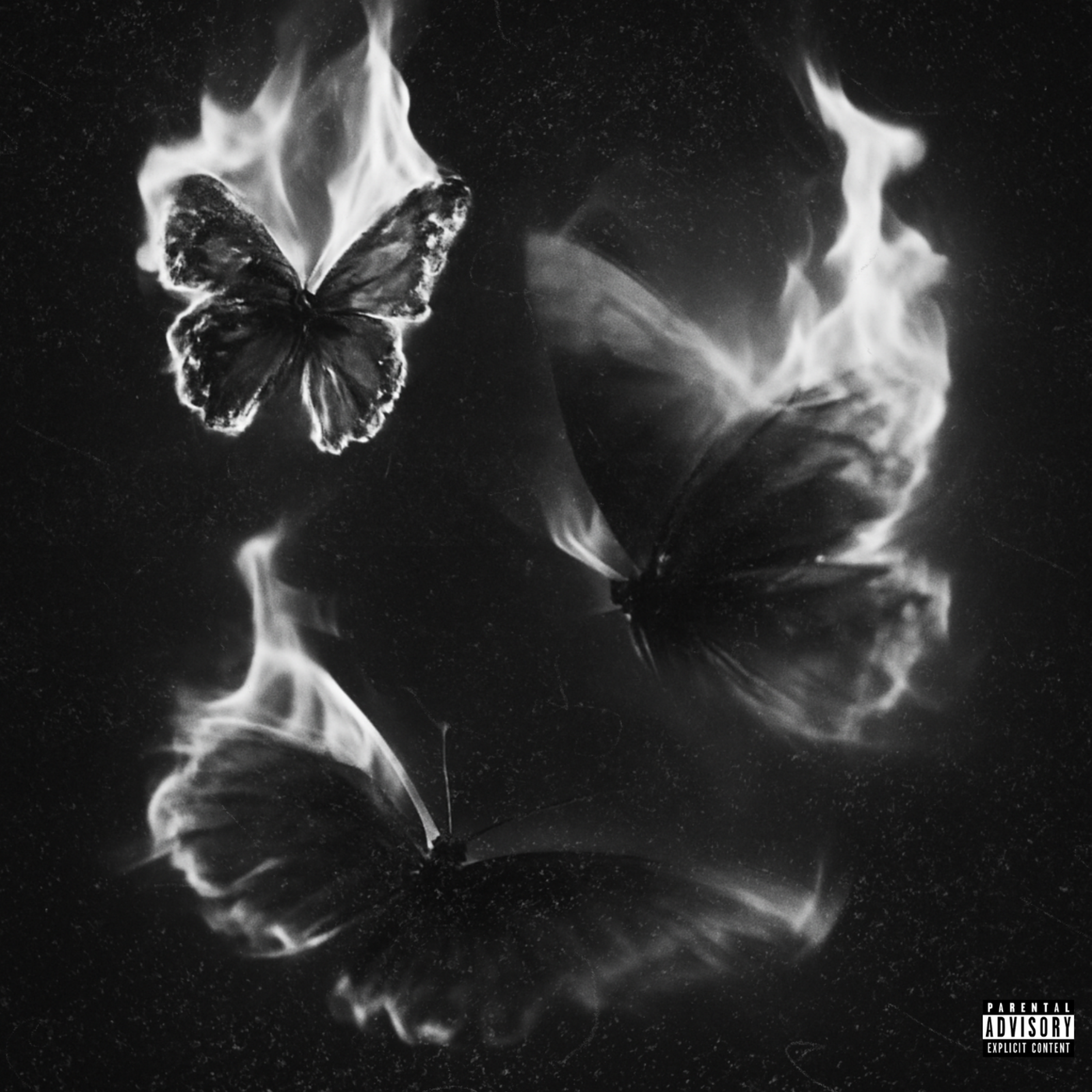 NOT A LOVE SONG artwork