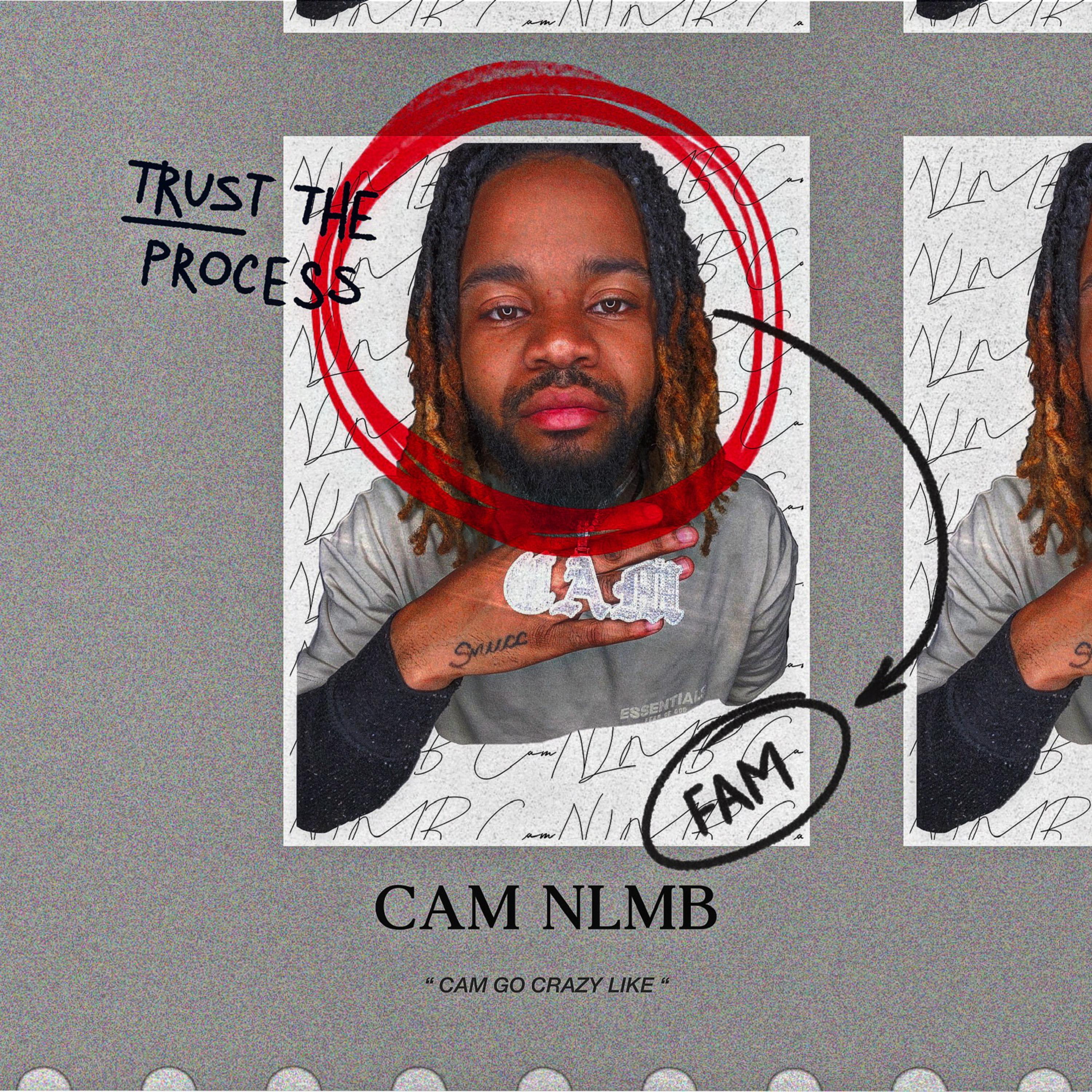 Cam Go Crazy Like artwork