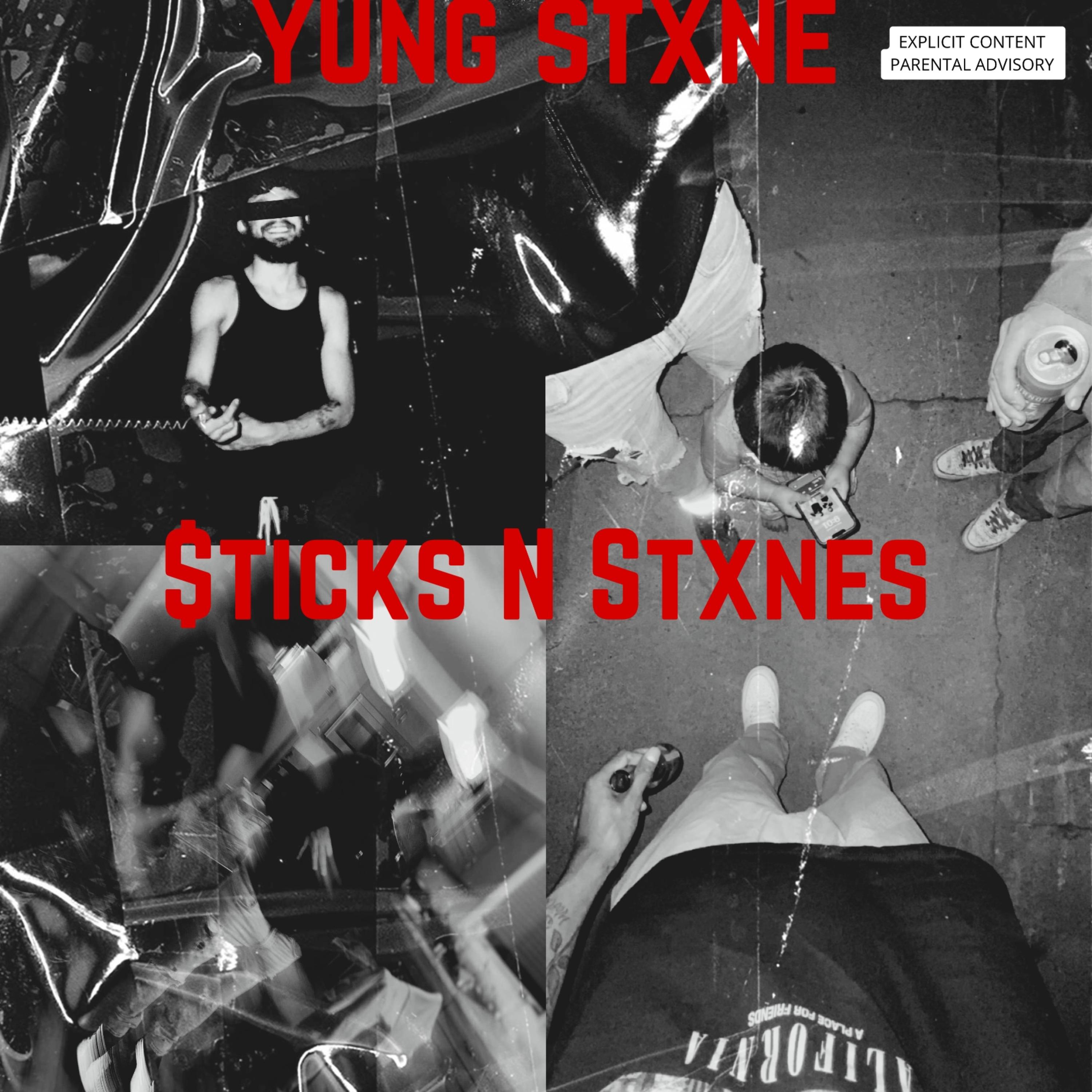 $ticks N Stxnes artwork