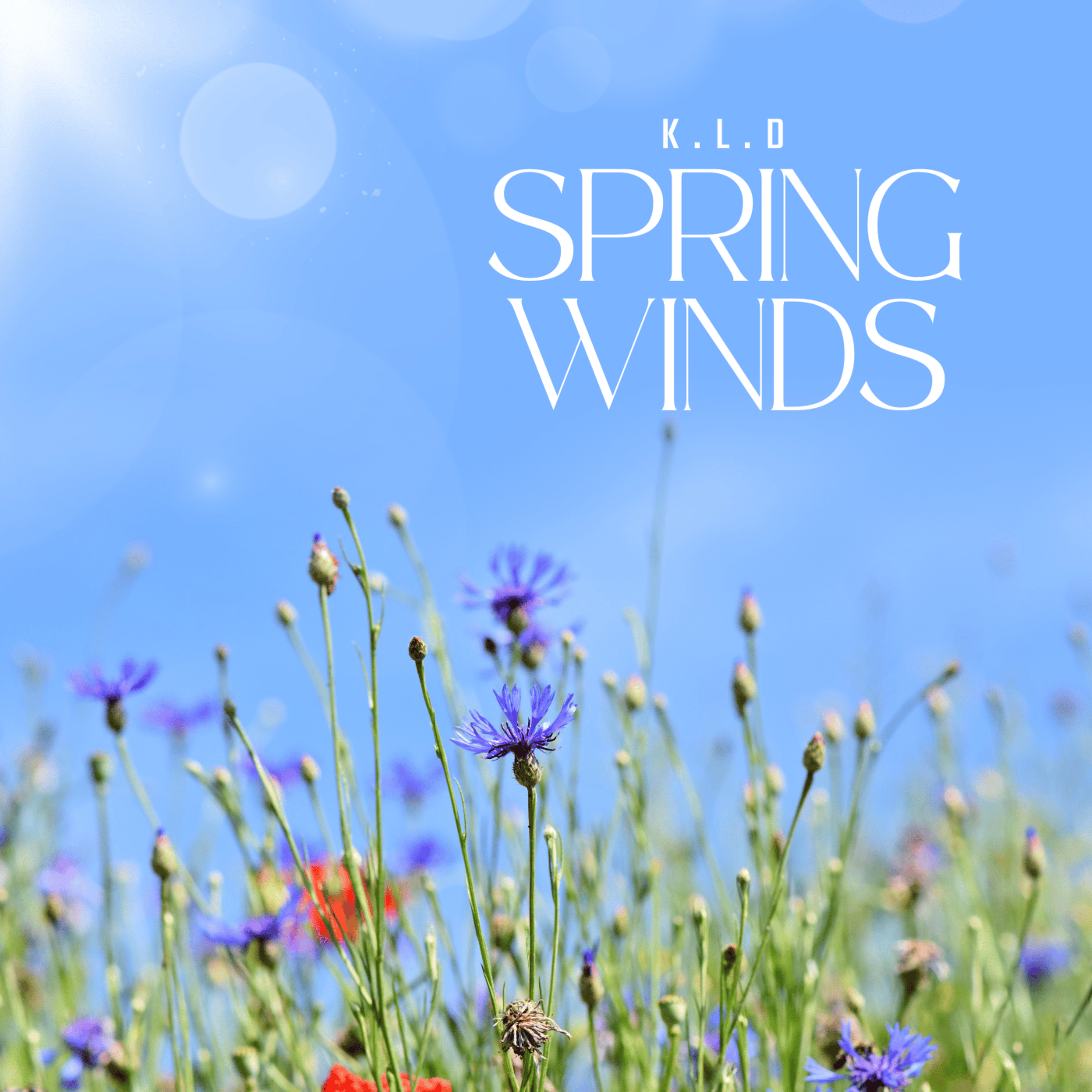 SPRING WINDS artwork