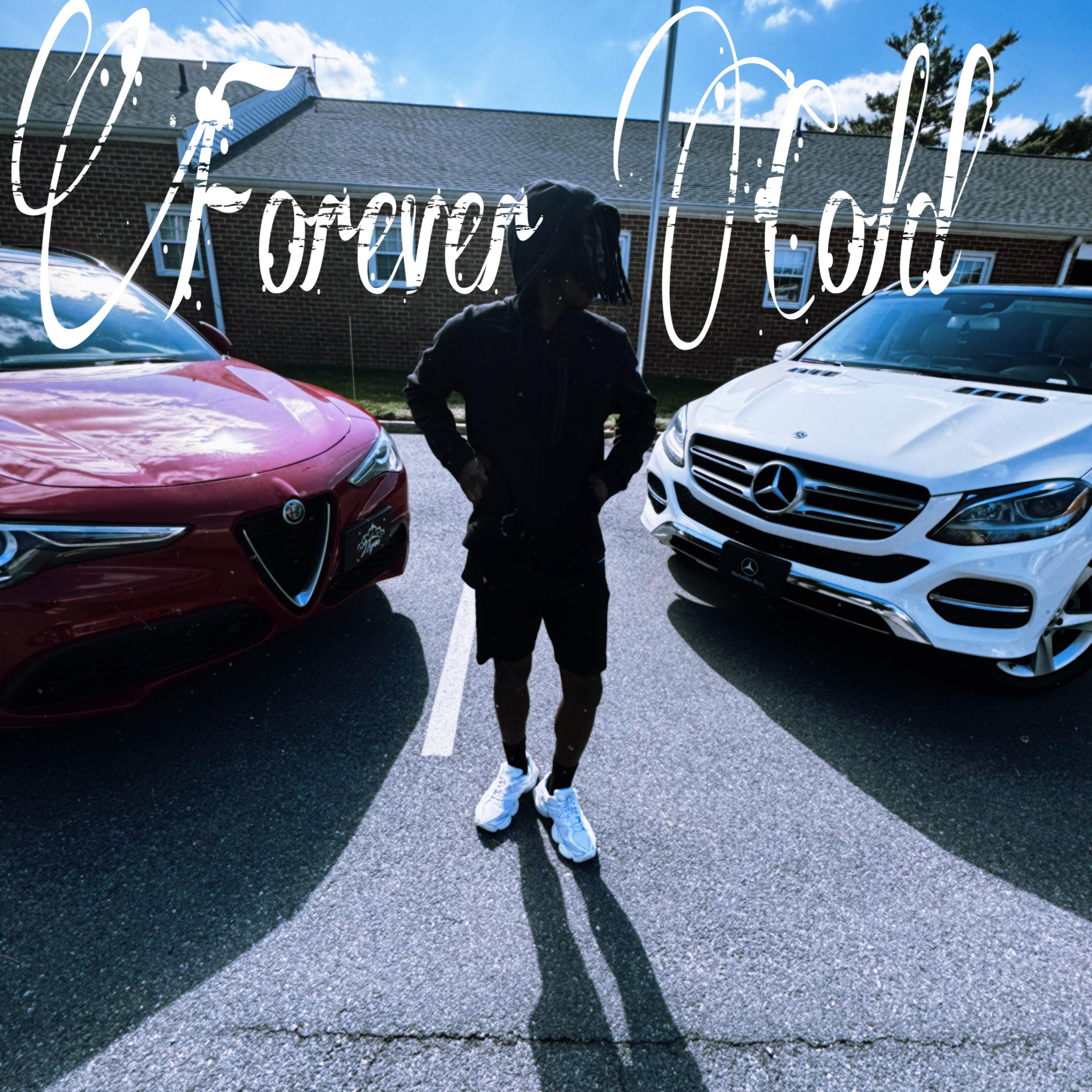 Forever Cold artwork