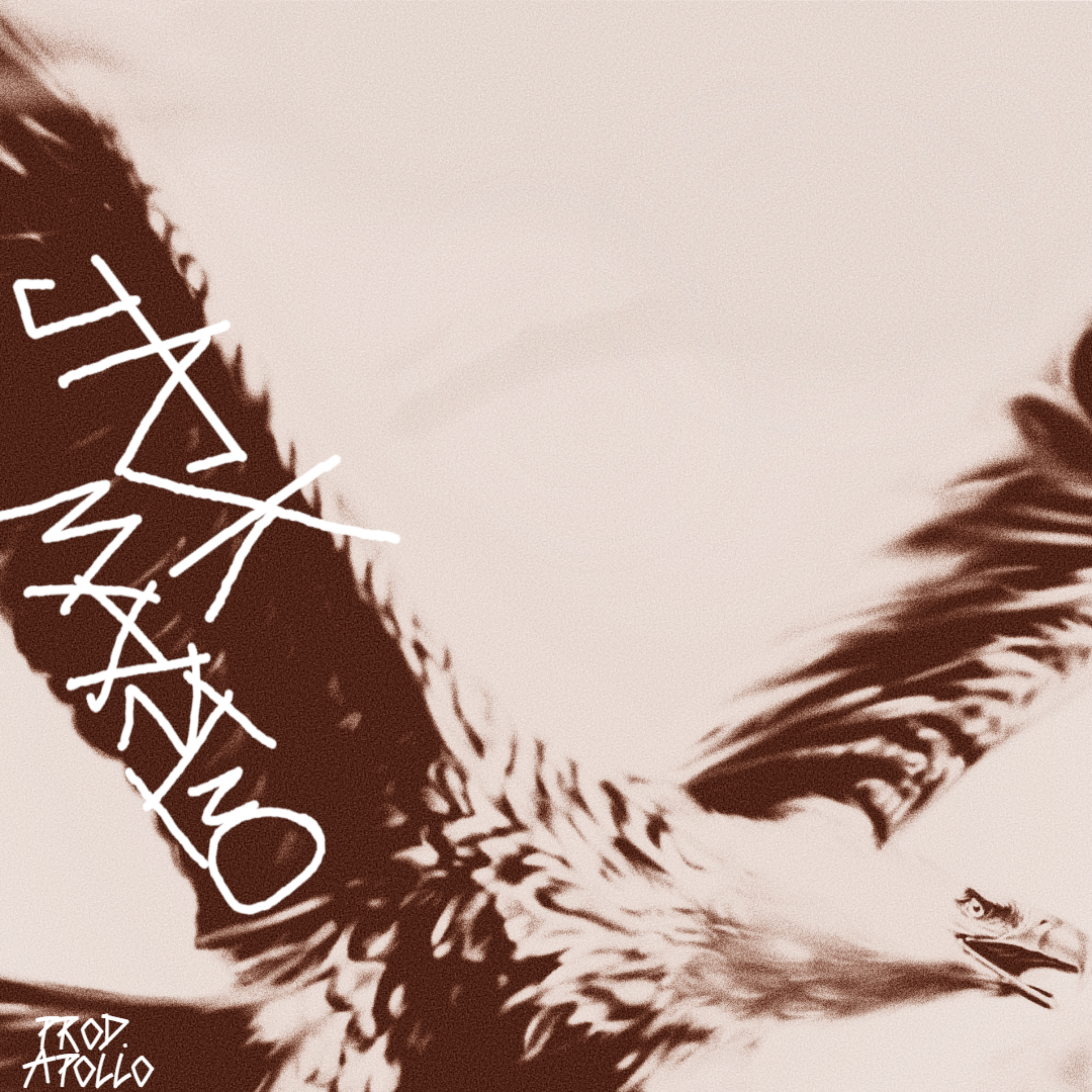 X10 artwork