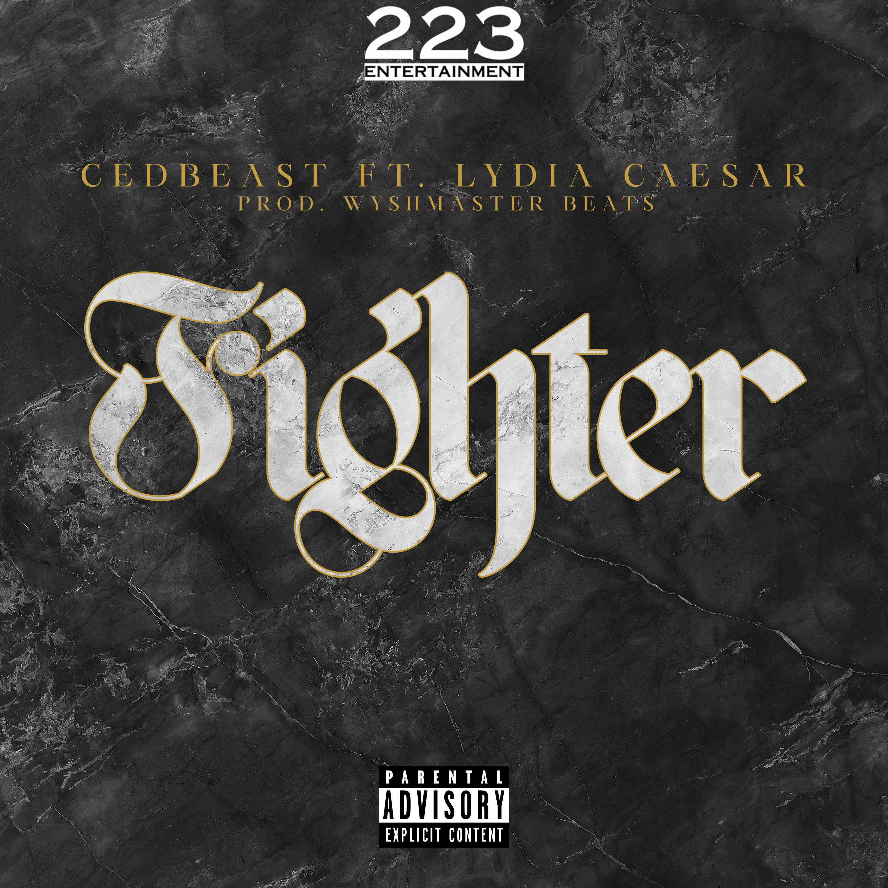 Fighter artwork