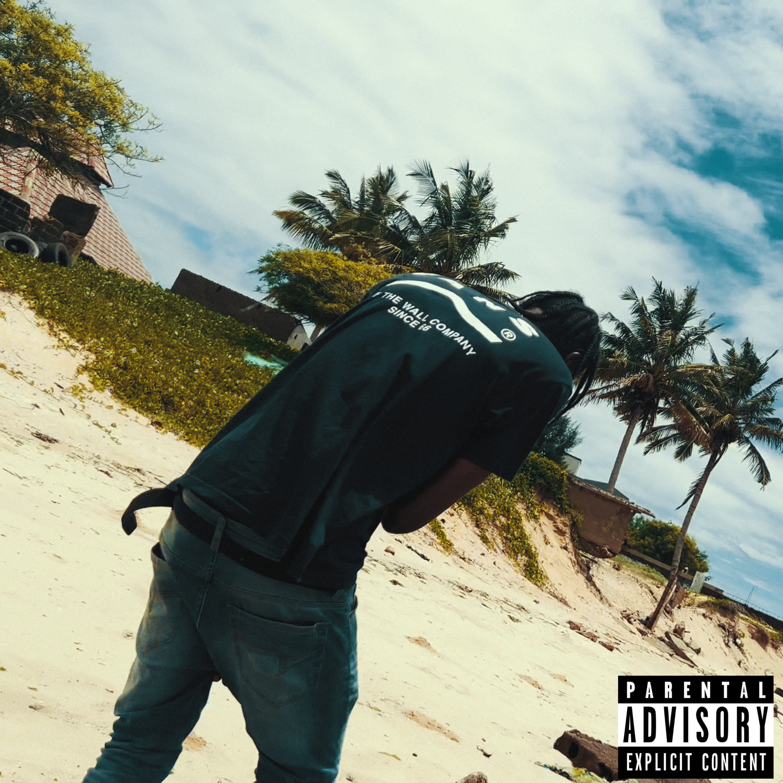 Nasci Para Essa Sh1t artwork