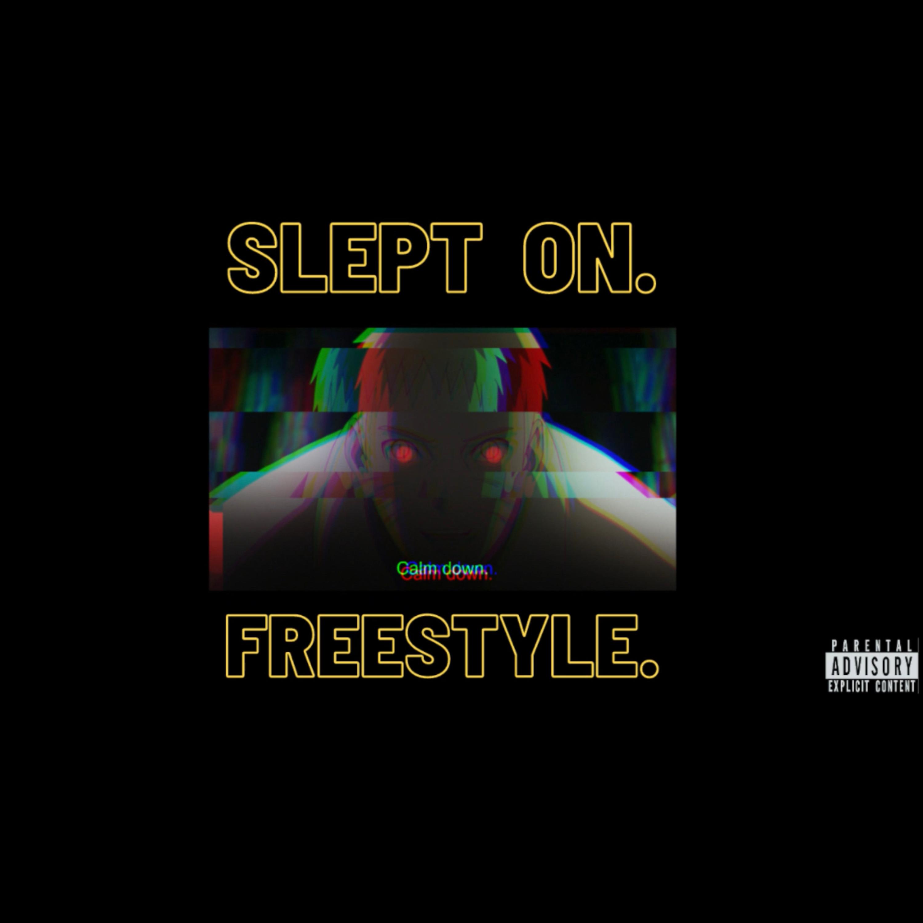Slept On Freestyle artwork