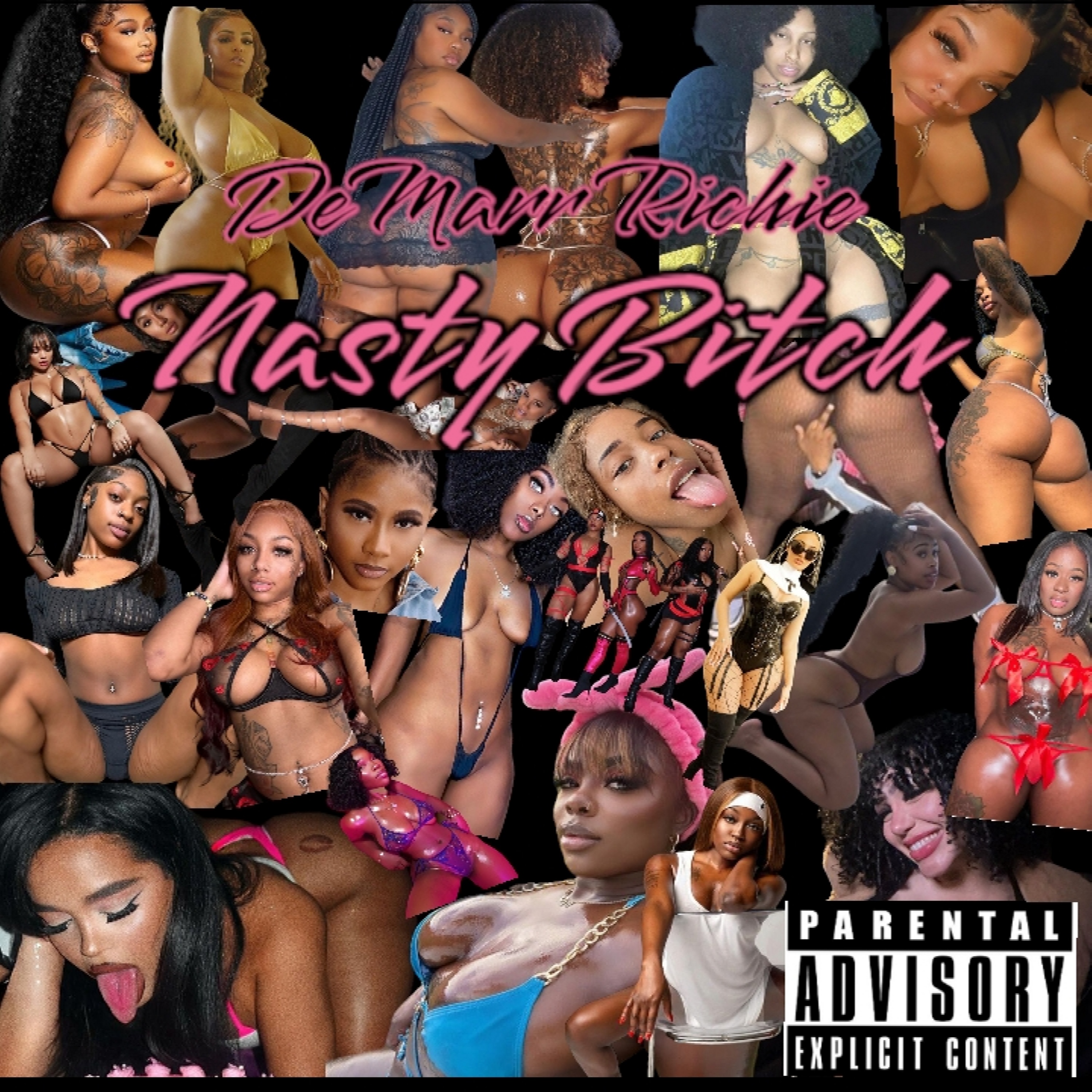 Nasty Bitch artwork