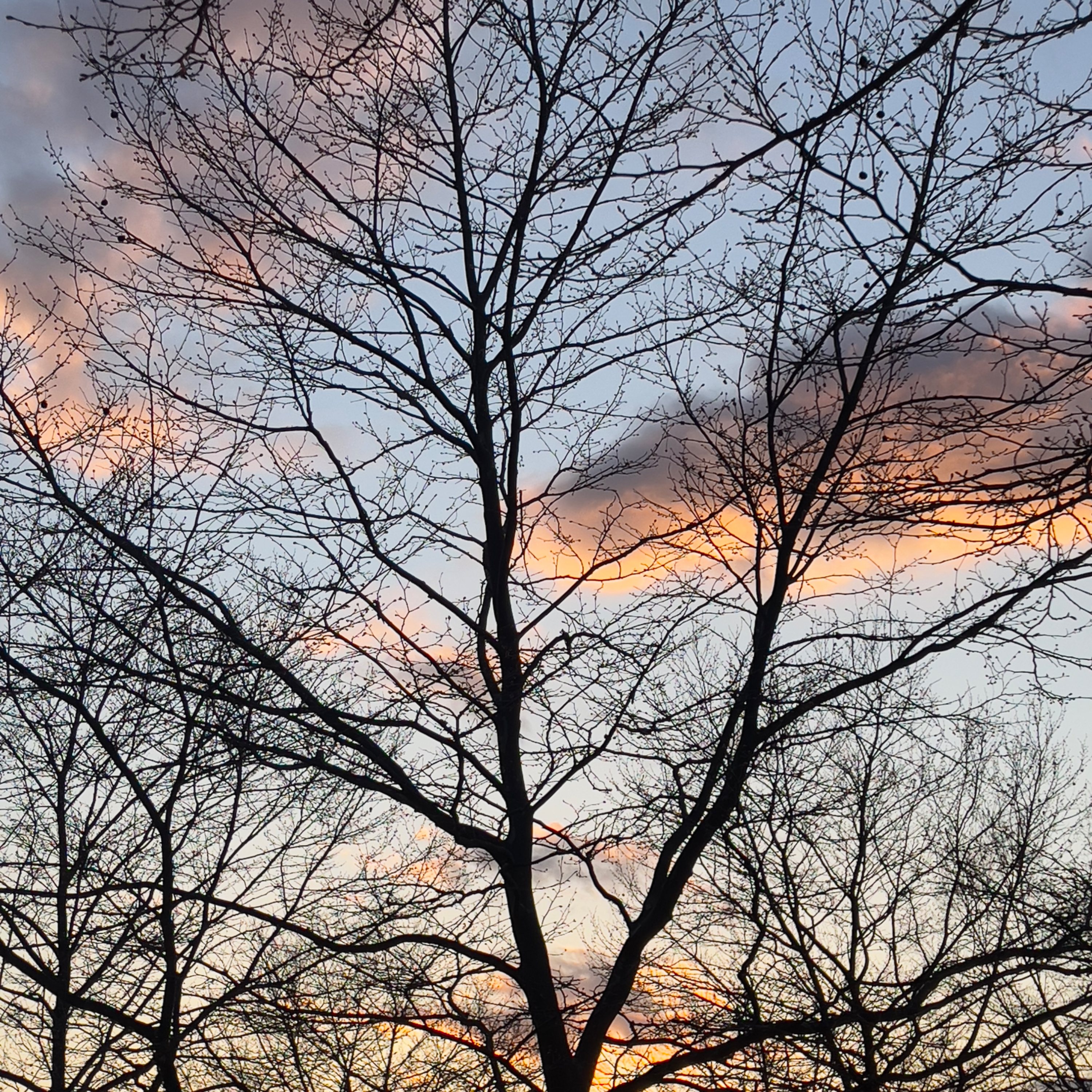 Sky artwork