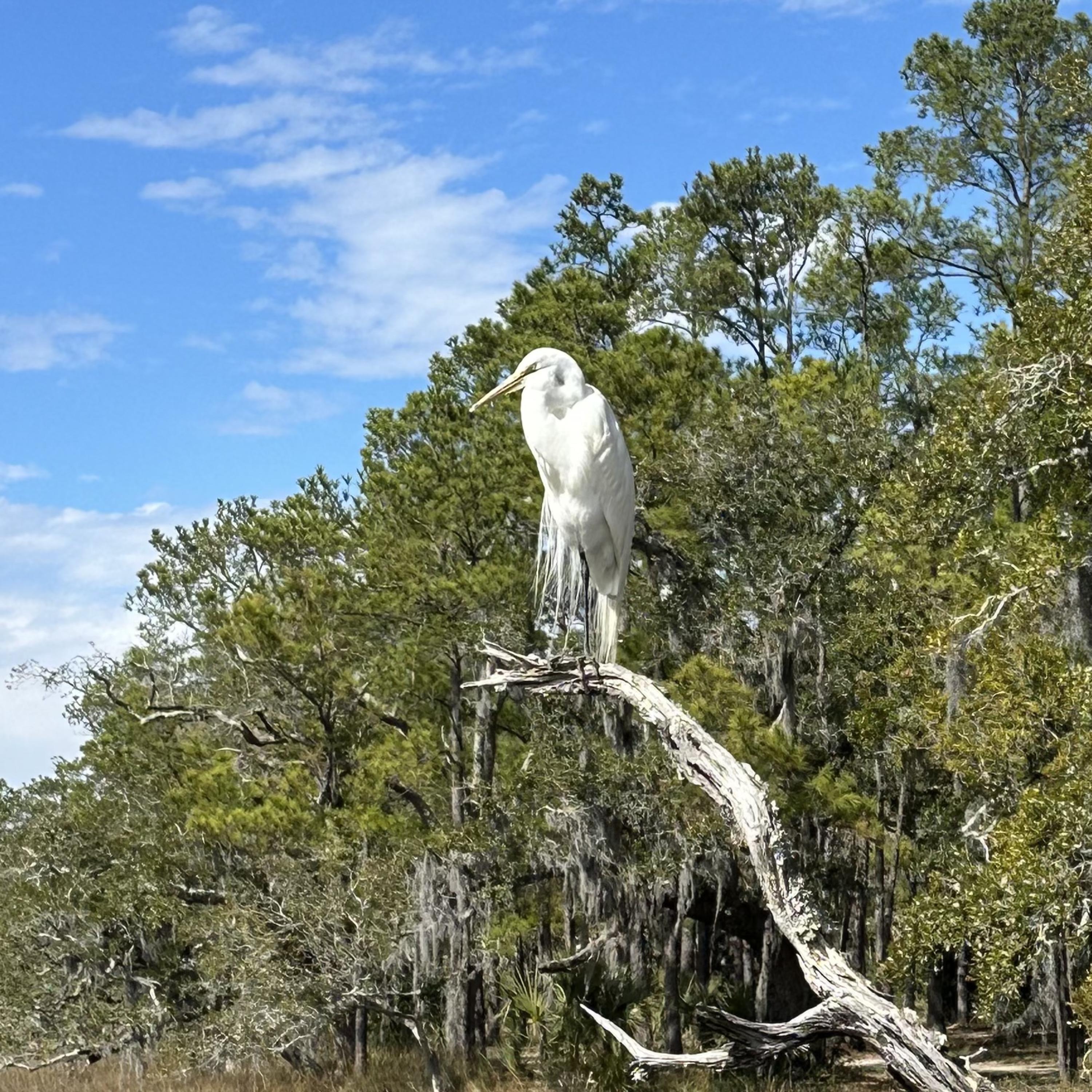 there-is-no-separation artwork