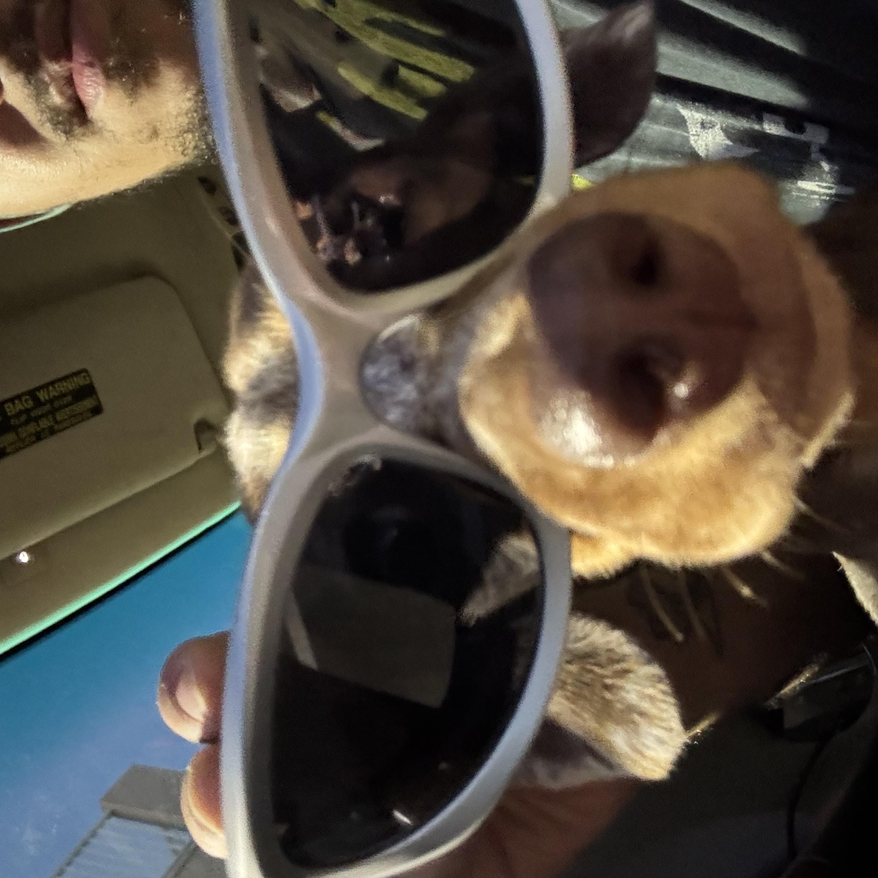 HOPE UR SATISFIED artwork