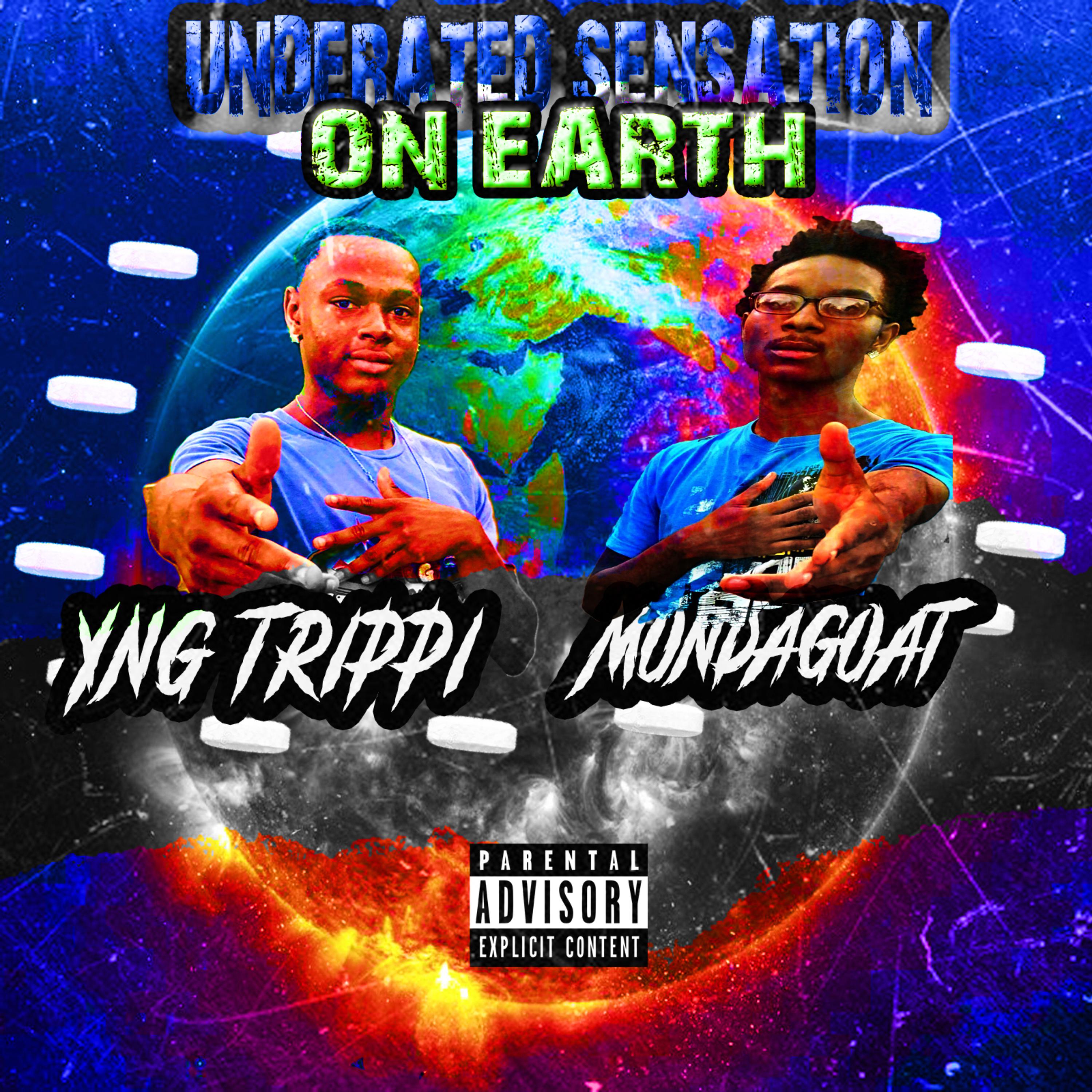 Underrated Sensation On Earth artwork