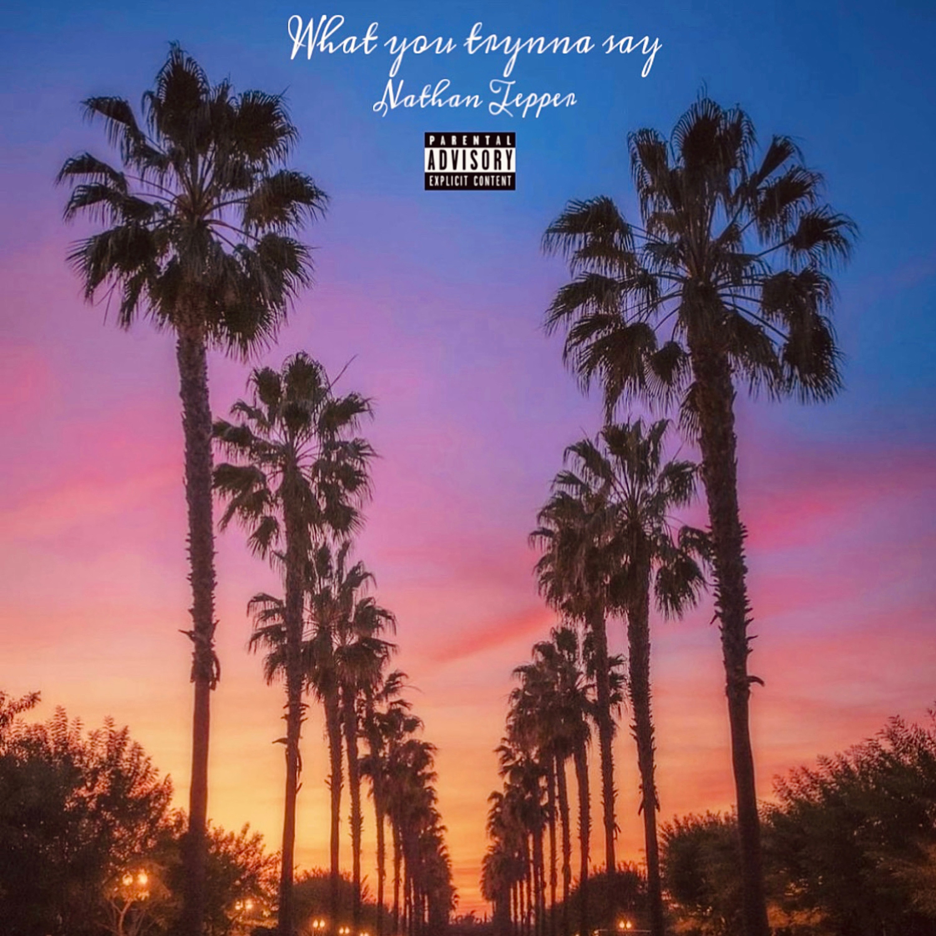 What You Trynna Say artwork