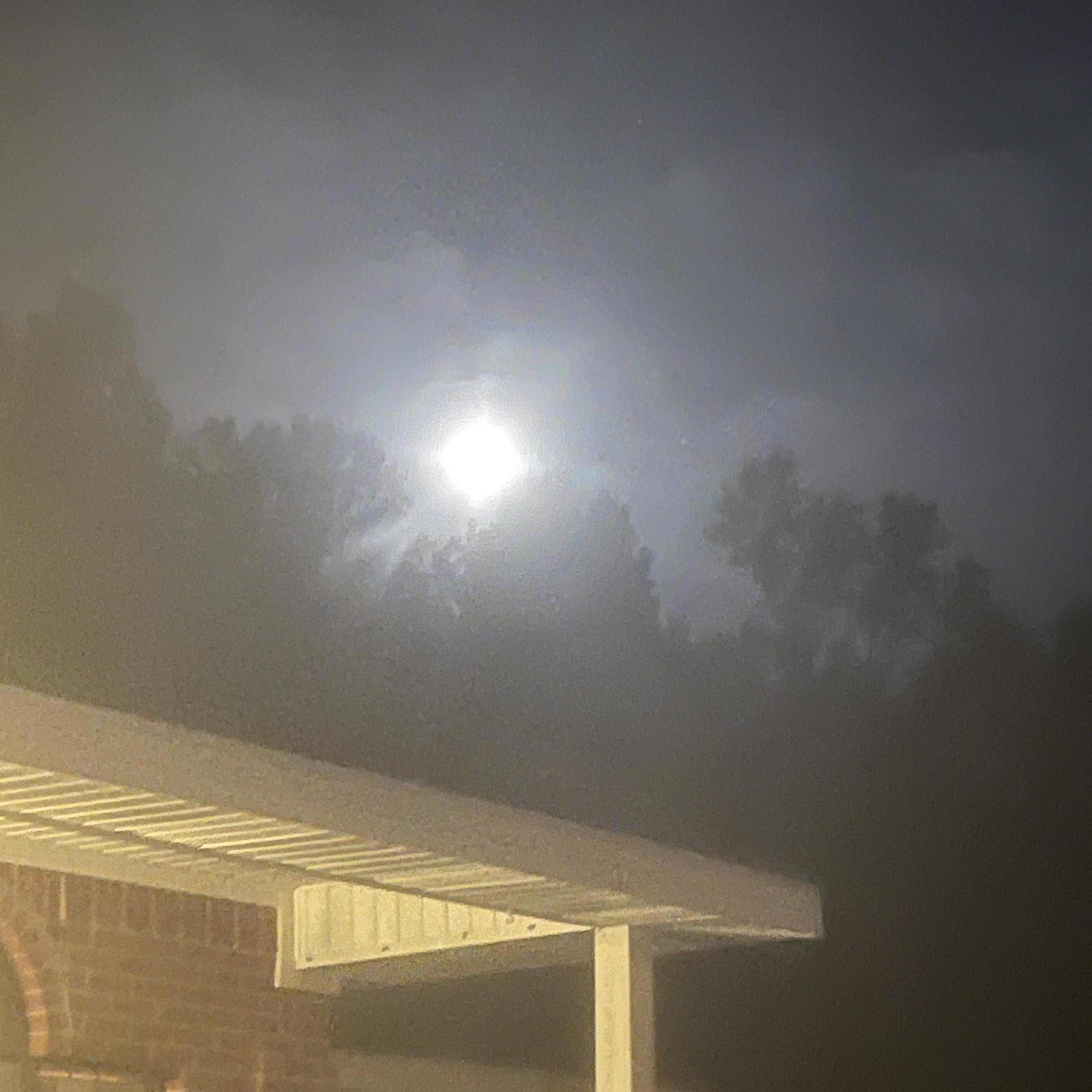 Therapy Session(s) artwork