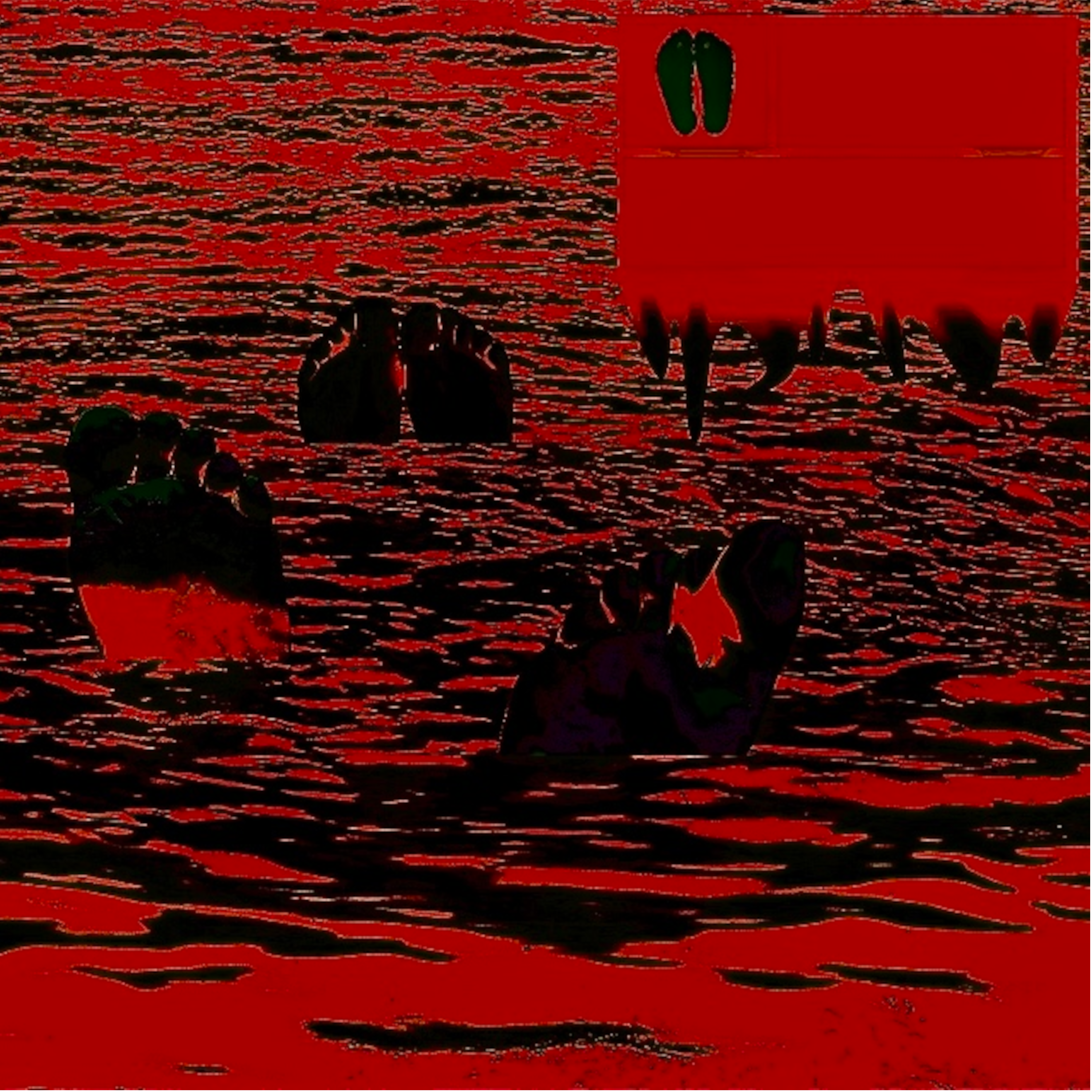 SWAMP TOES artwork